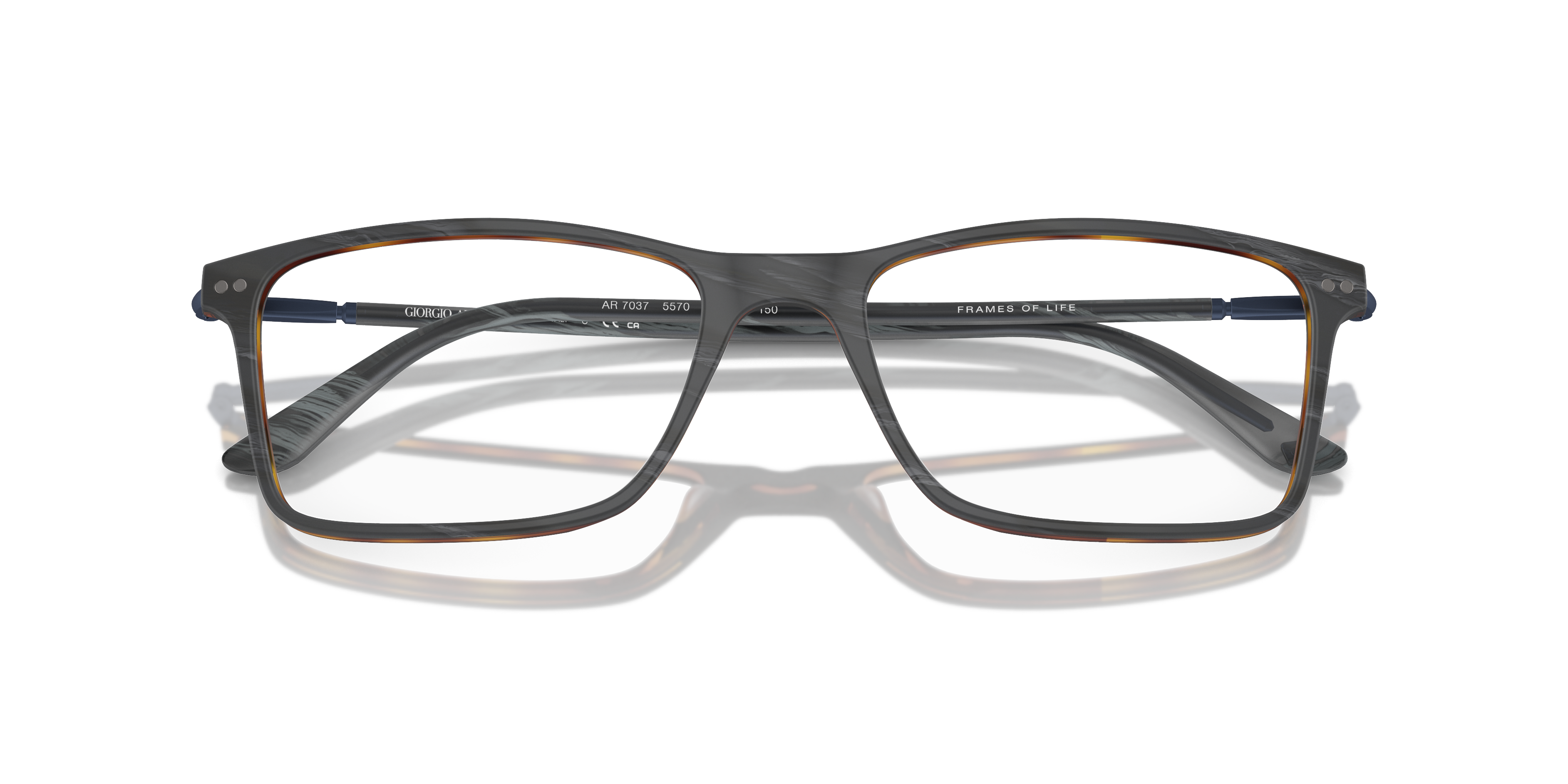 GIORGIO ARMANI AR7037 5570 55