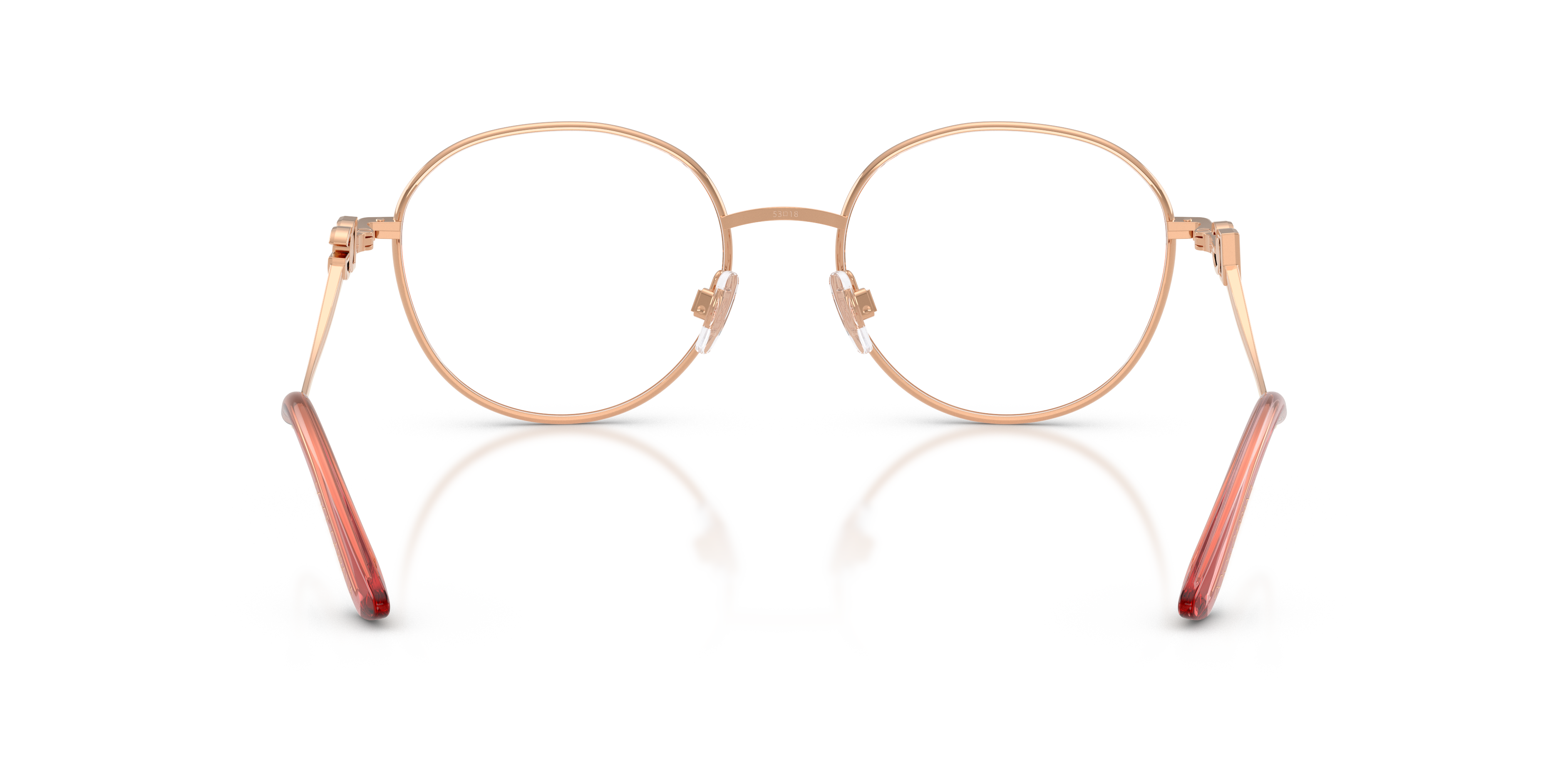 DOLCE & GABBANA DG1365 1369 53