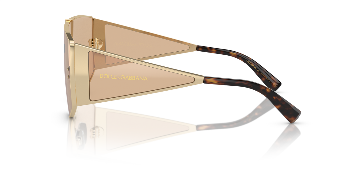 DOLCE & GABBANA DG2305 13655A 44