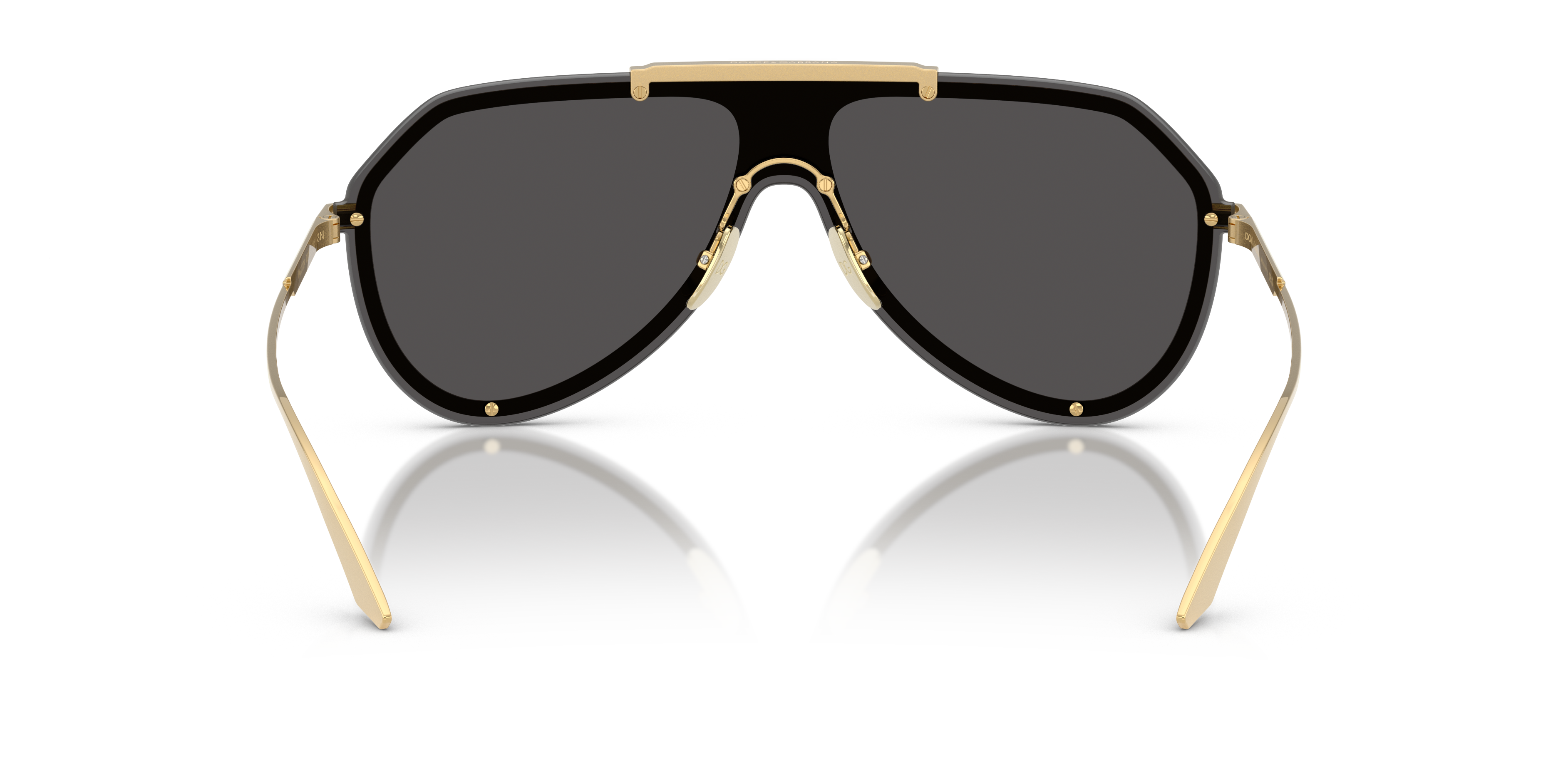 DOLCE & GABBANA DG2309 02/87 43