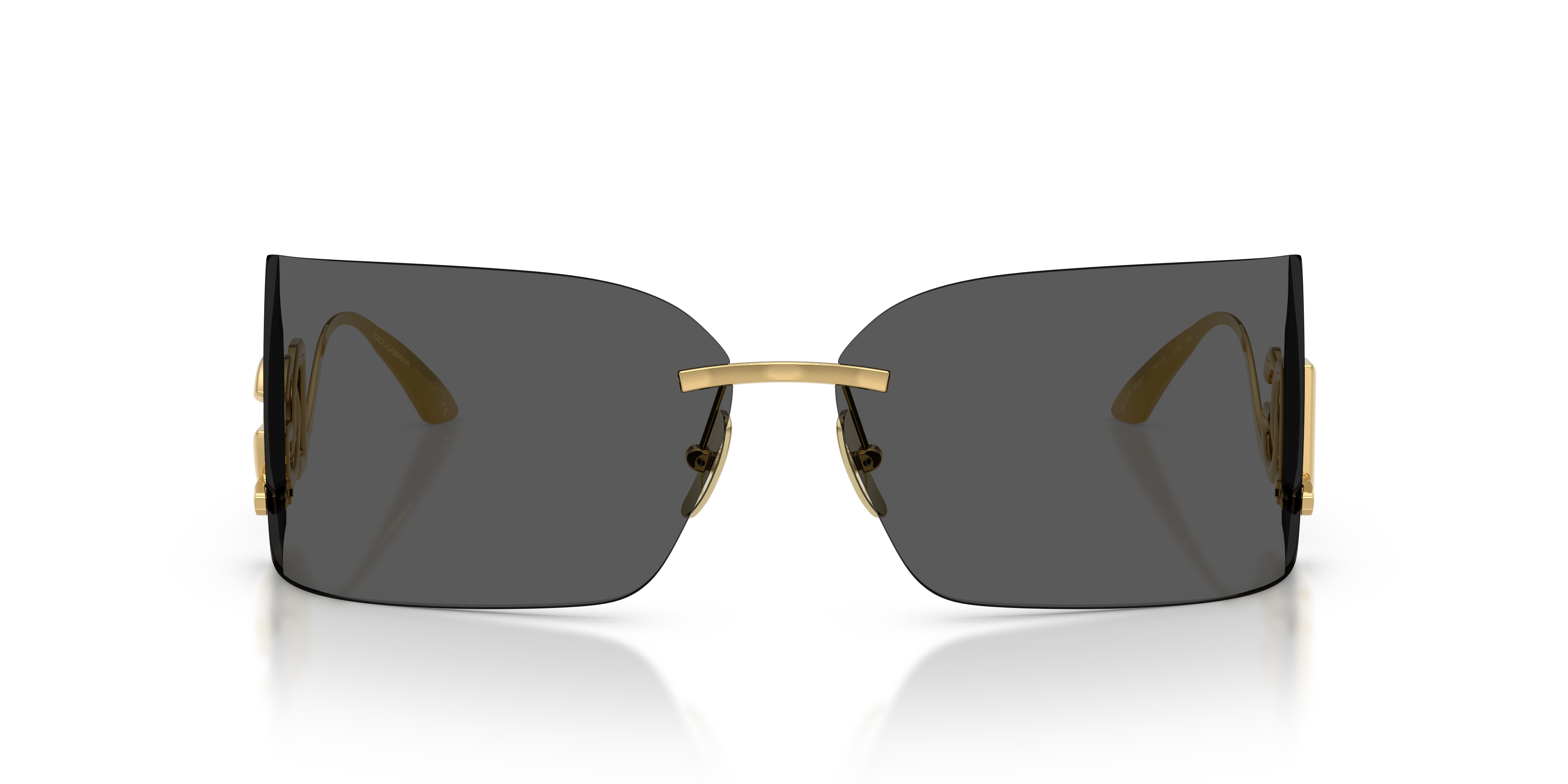 DOLCE & GABBANA DG2319 02/87 79