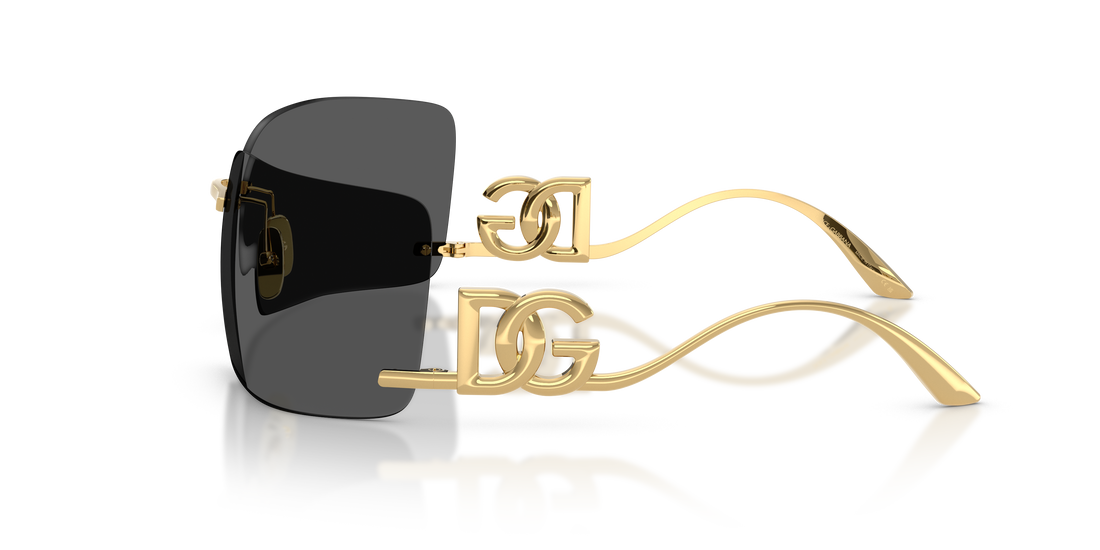 DOLCE & GABBANA DG2319 02/87 79