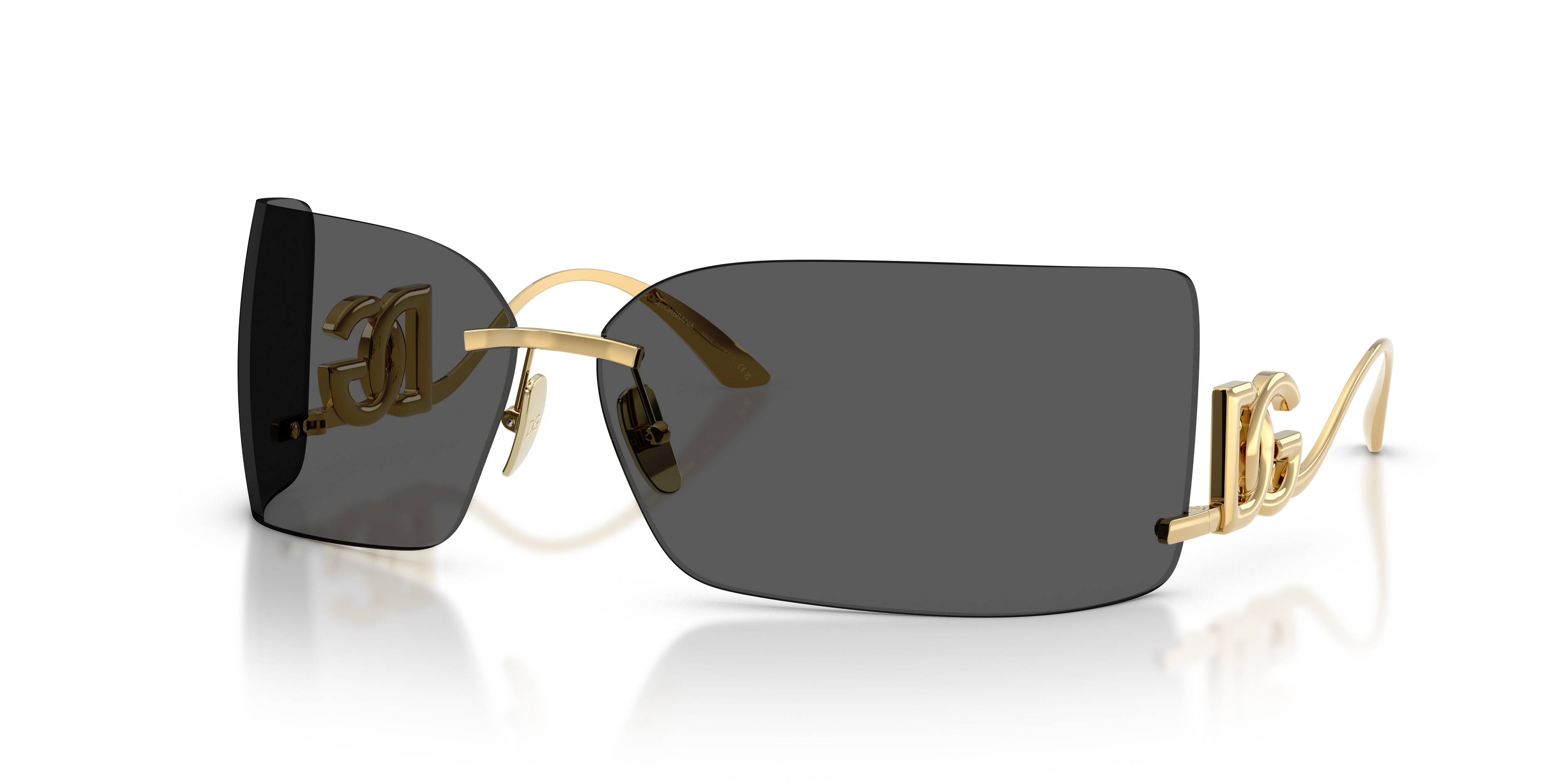 DOLCE & GABBANA DG2319 02/87 79