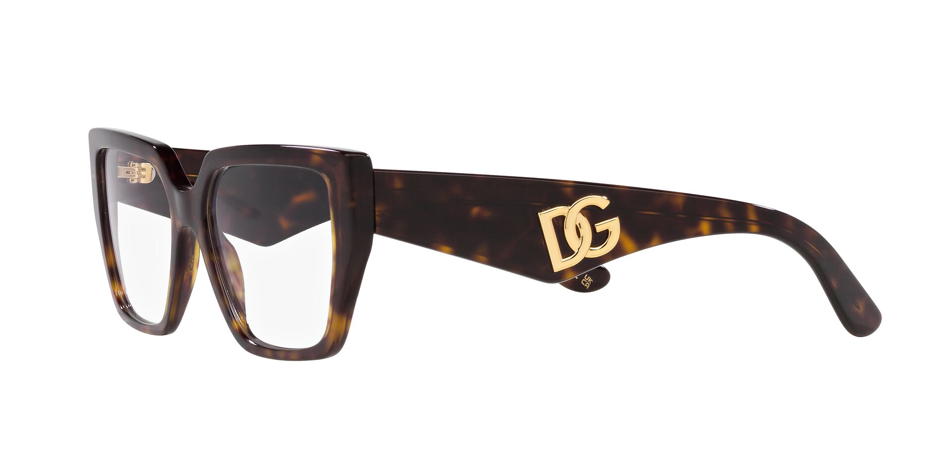 DOLCE & GABBANA DG3373 502 55