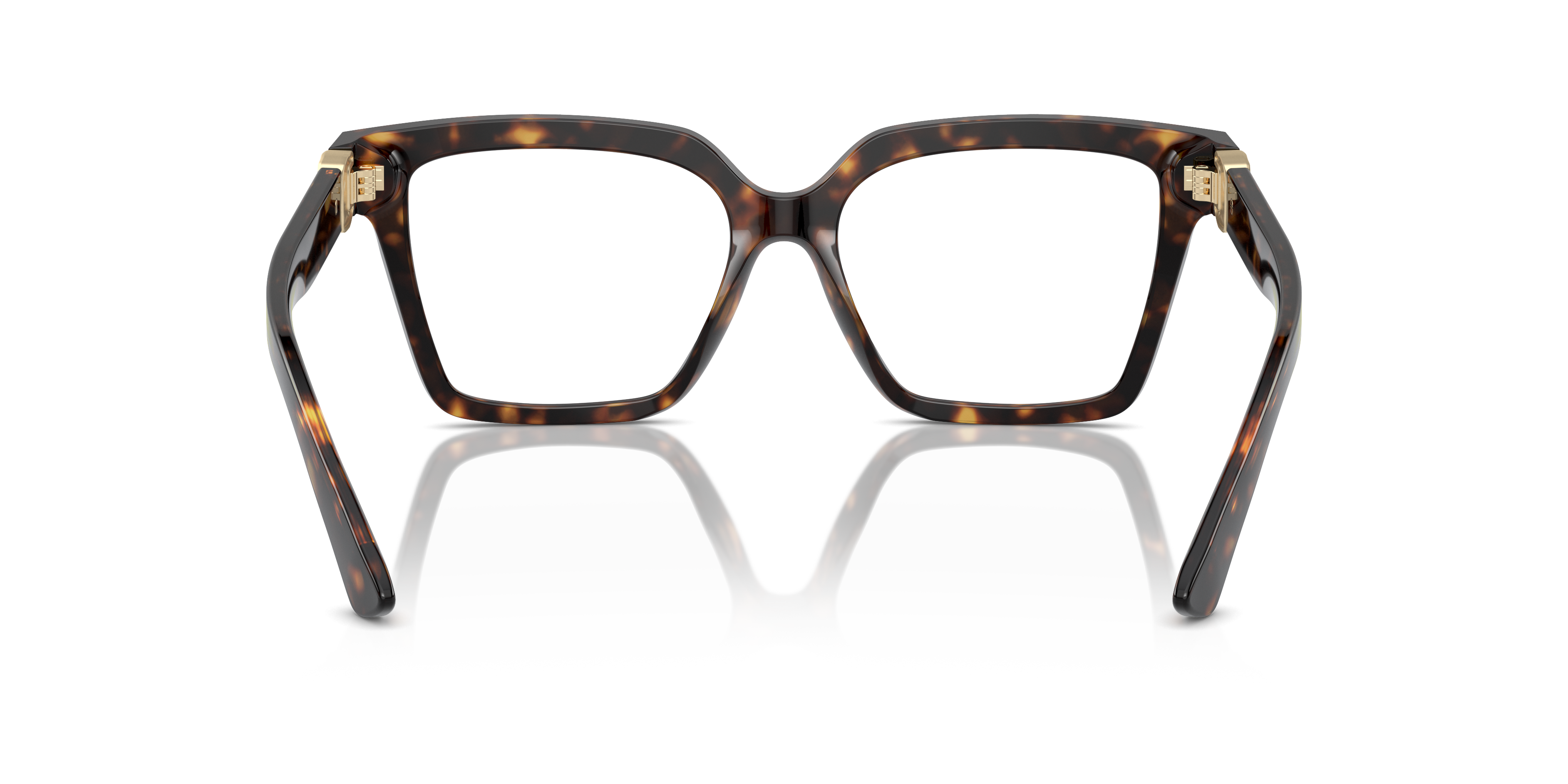 DOLCE & GABBANA DG3395 502 51