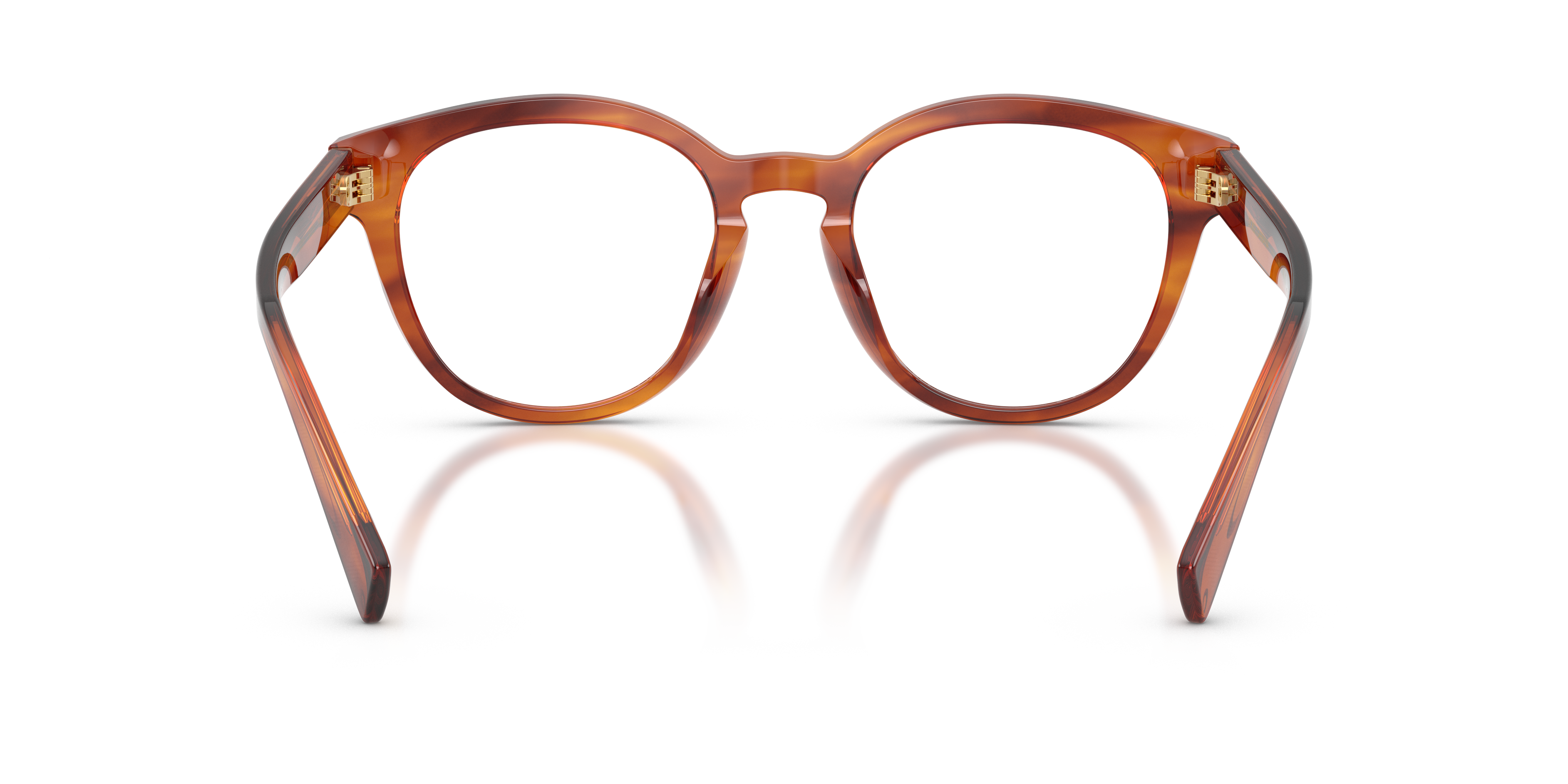 DOLCE & GABBANA DG3421 3221 50