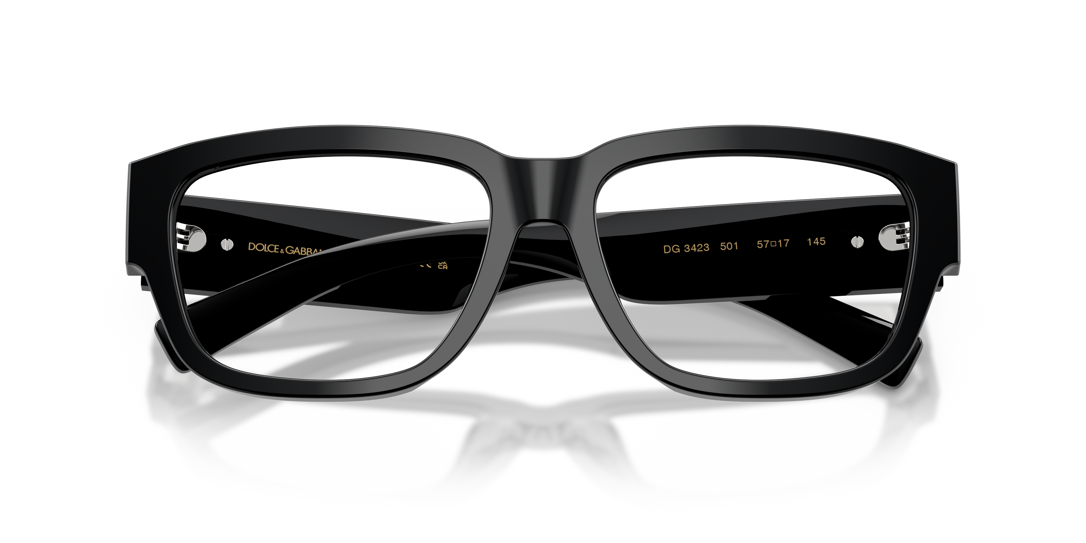 DOLCE & GABBANA DG3423 501 55