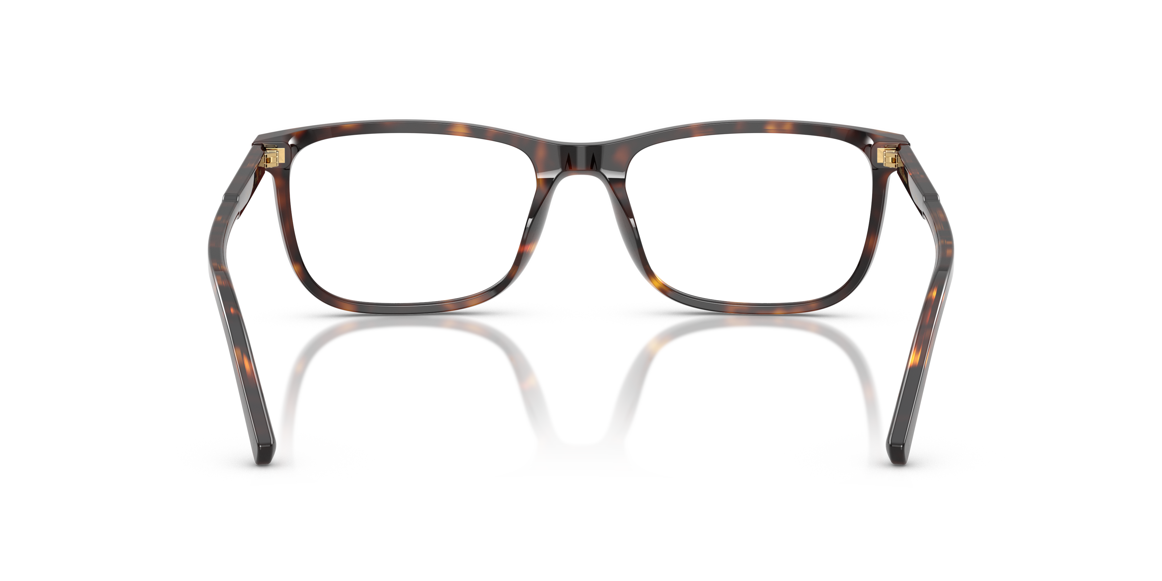 DOLCE & GABBANA DG3427 502 55