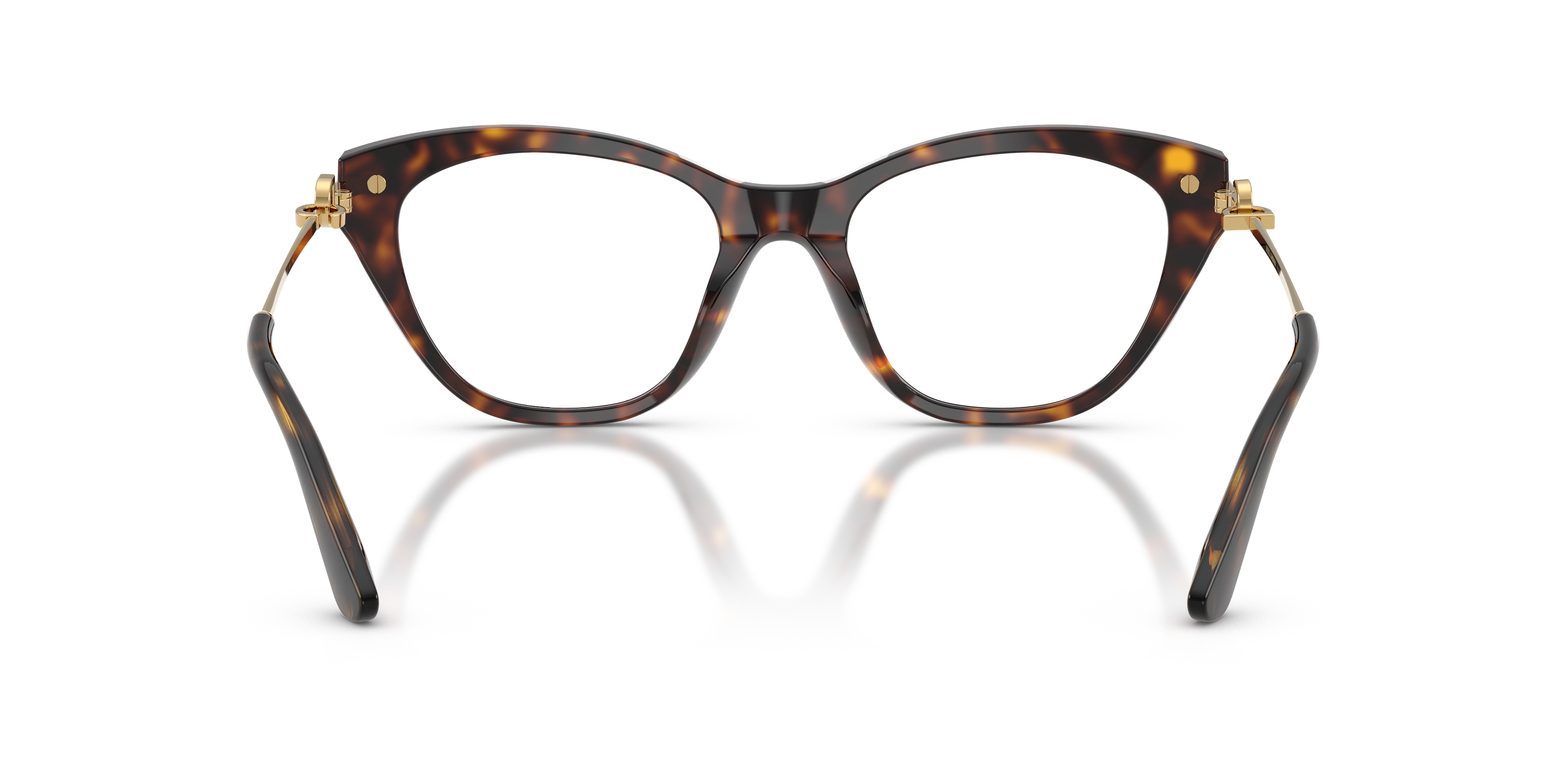 DOLCE & GABBANA DG3428 502 53