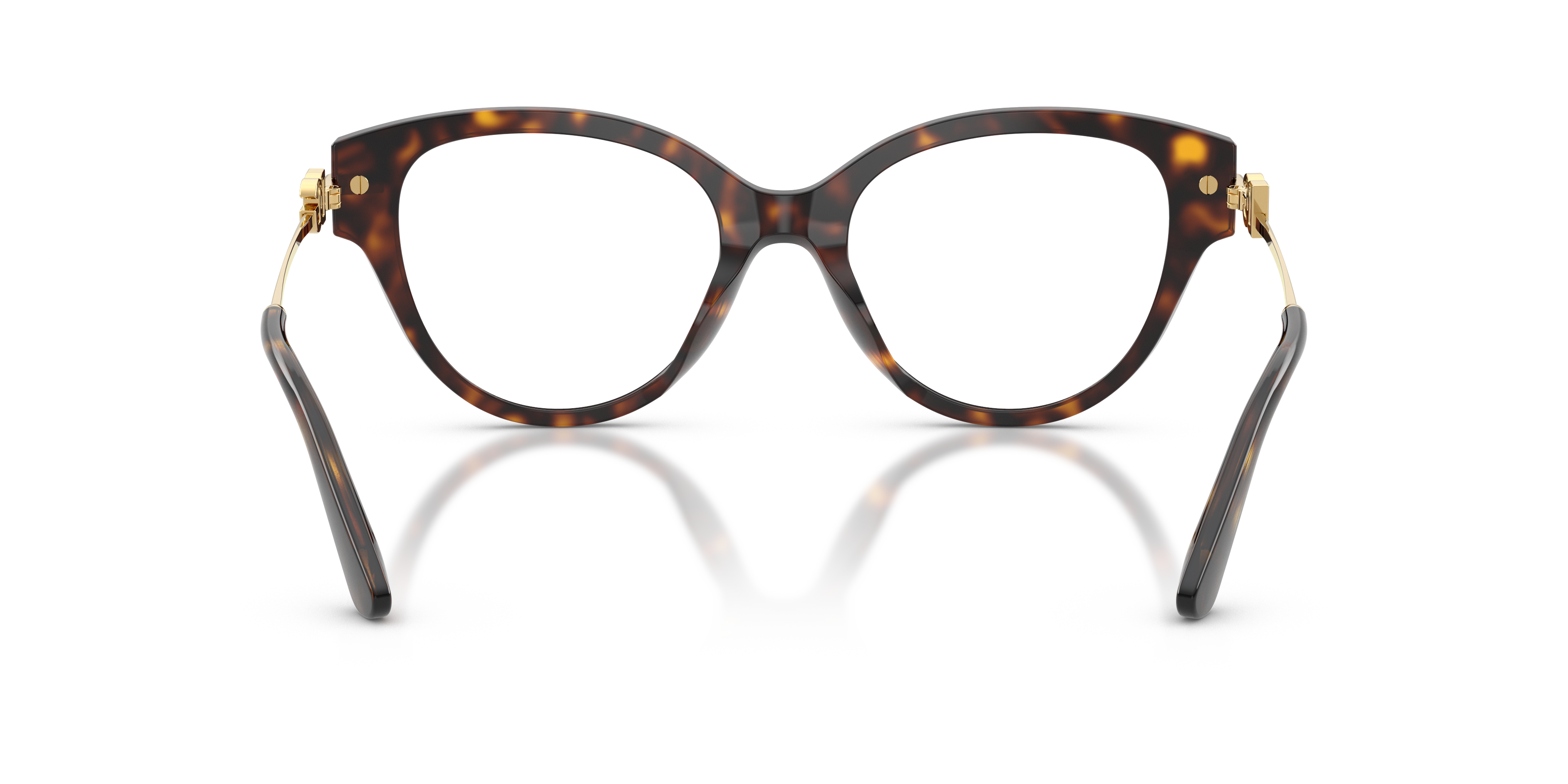 DOLCE & GABBANA DG3438 502 53