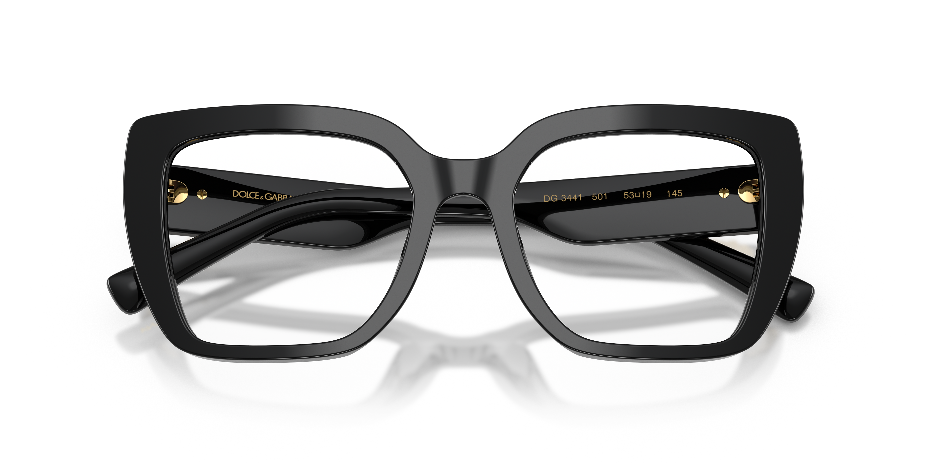 DOLCE & GABBANA DG3441 501 51