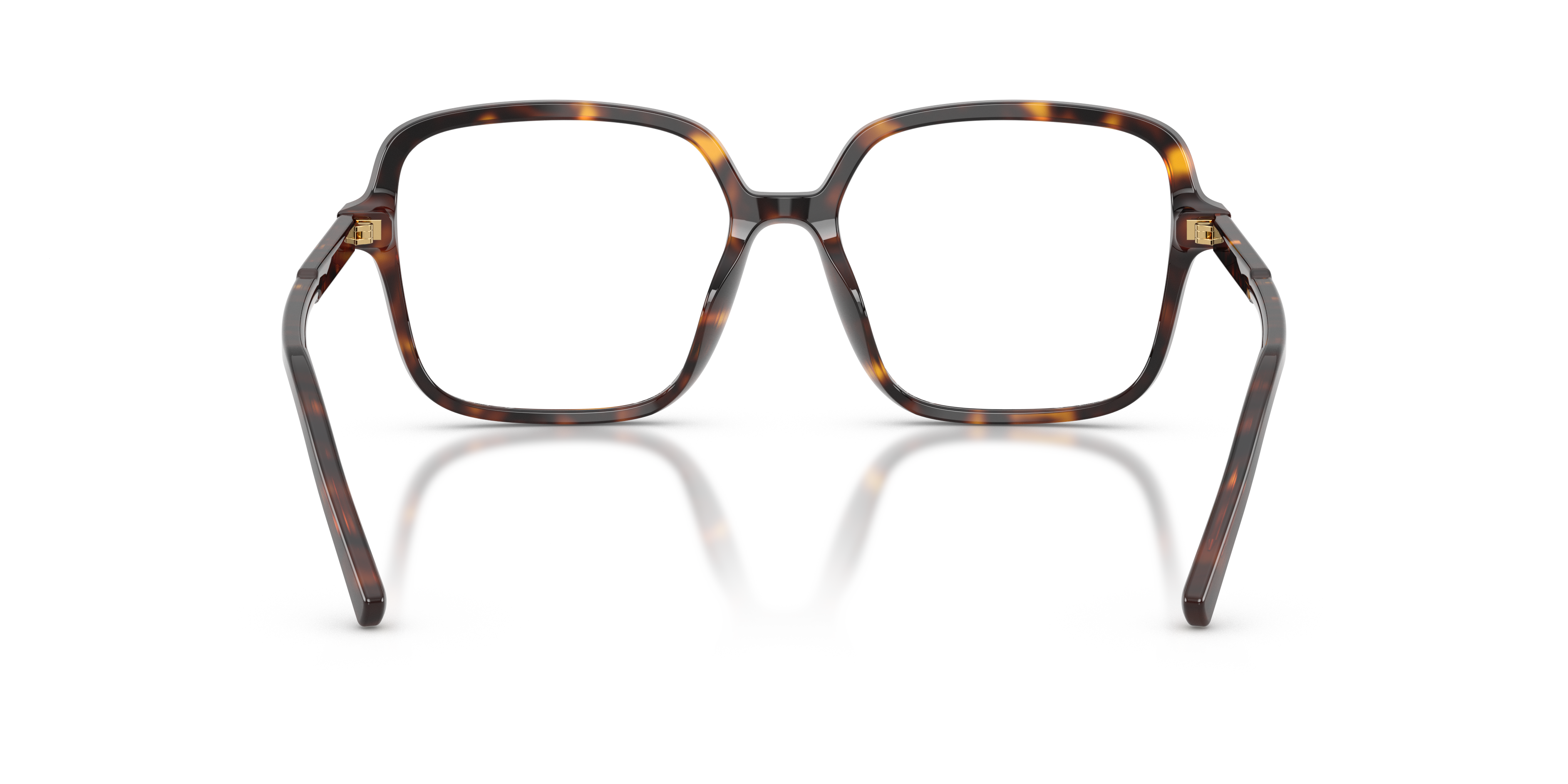 DOLCE & GABBANA DG3442 502 53