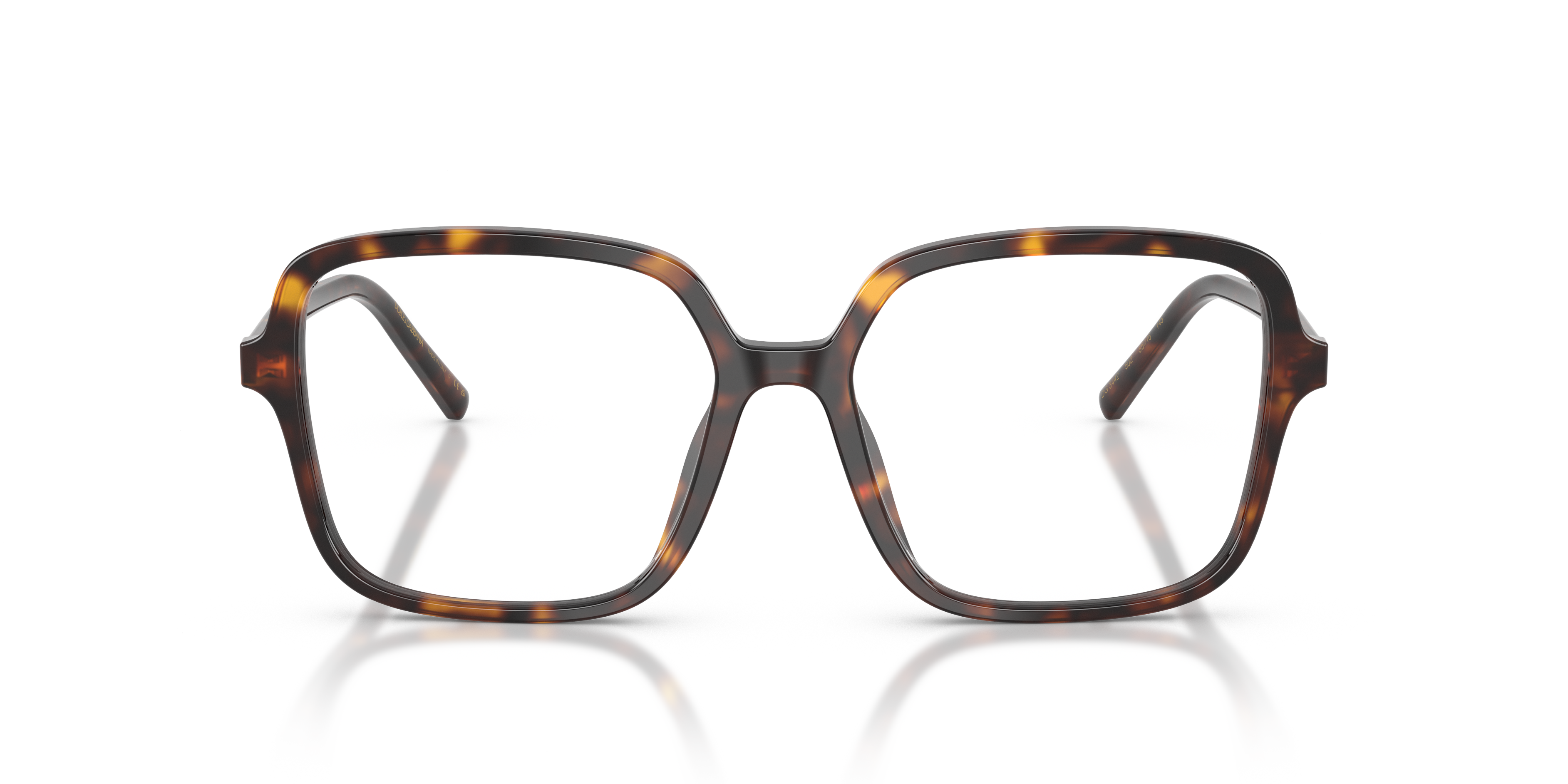 DOLCE & GABBANA DG3442 502 53