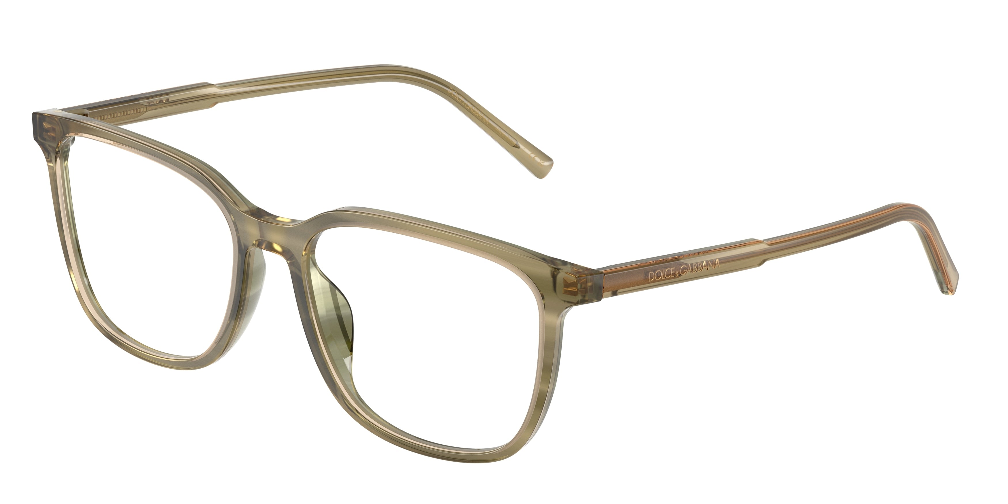 DOLCE & GABBANA DG3445 3480 55