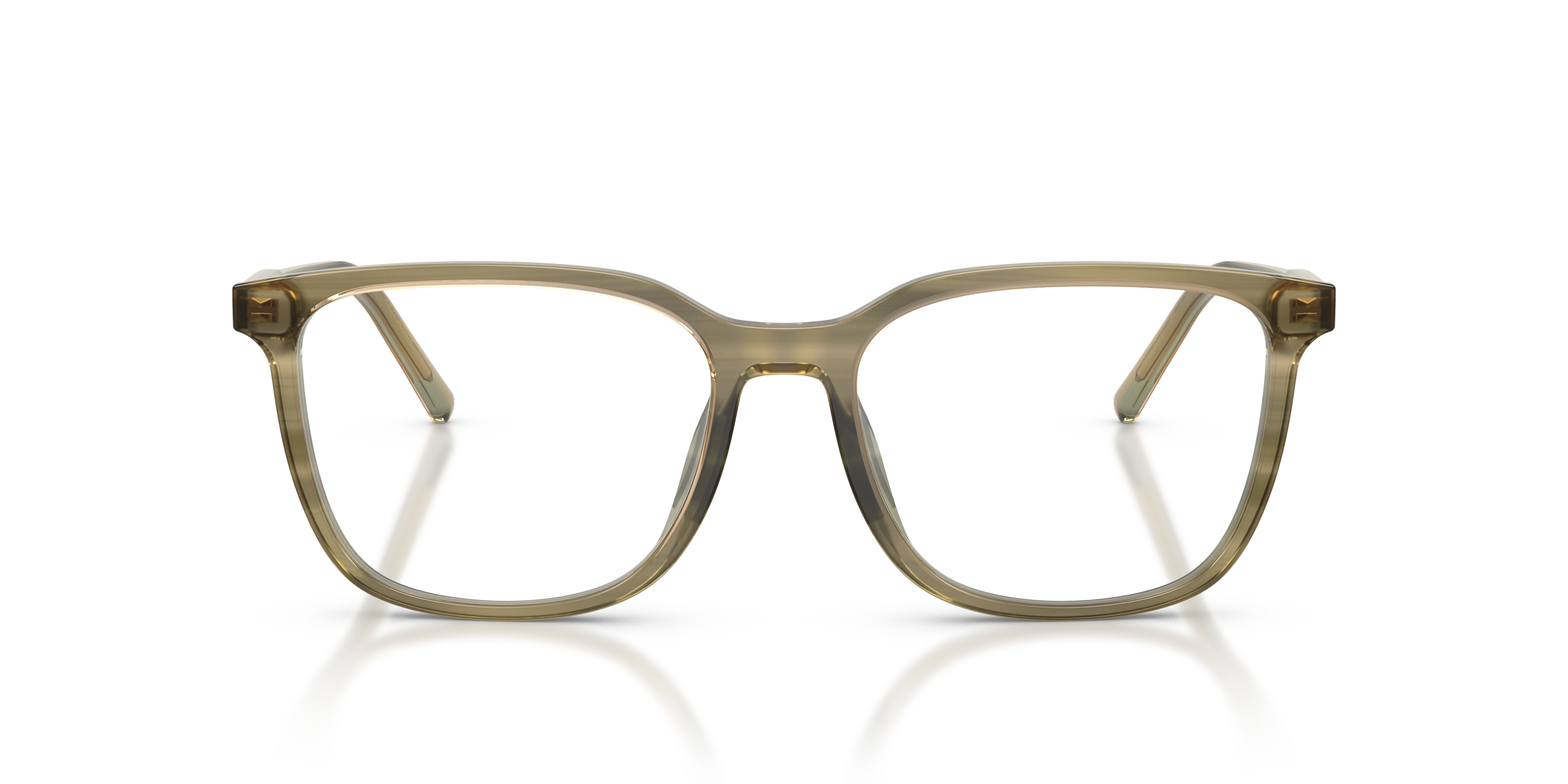 DOLCE & GABBANA DG3445 3480 55