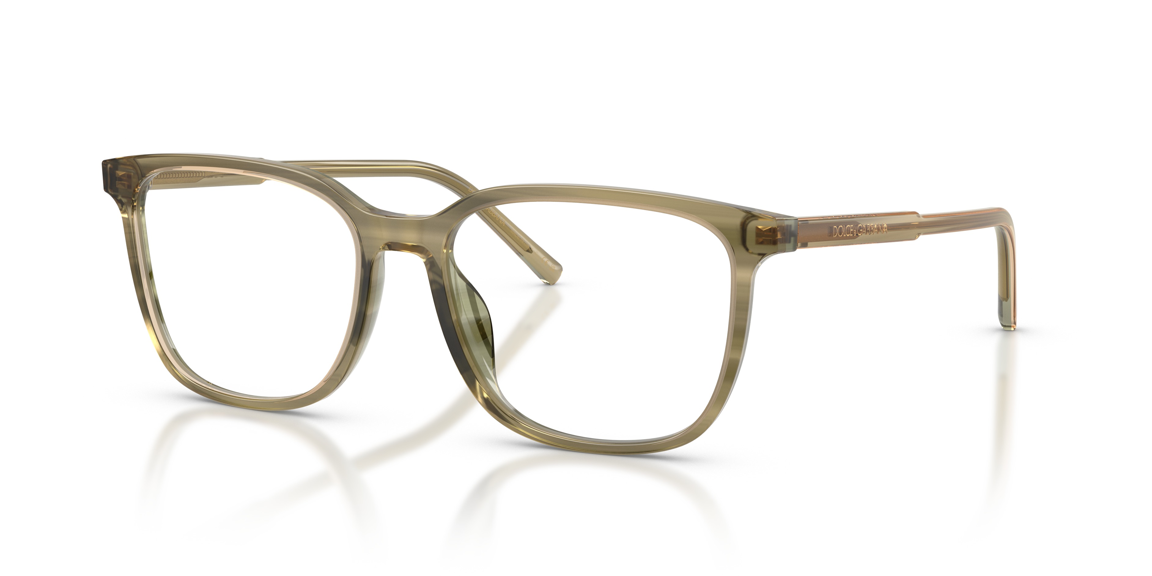DOLCE & GABBANA DG3445 3480 55