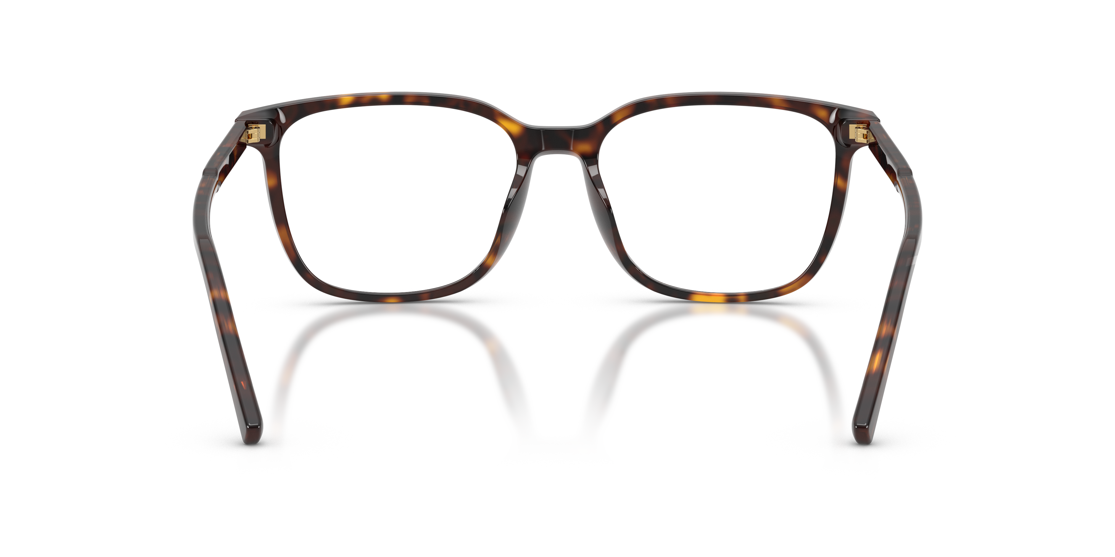 DOLCE & GABBANA DG3445 502 55