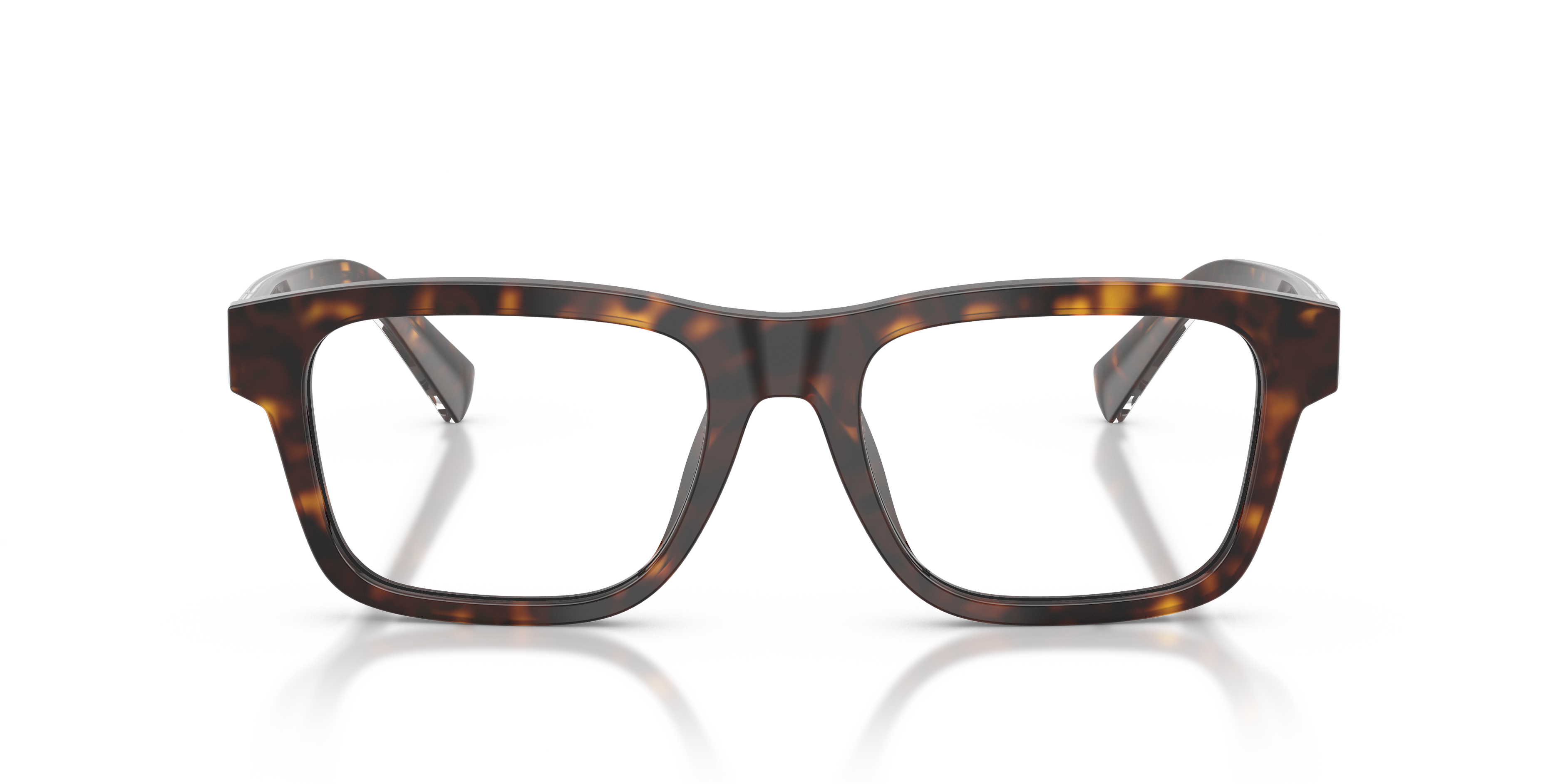 DOLCE & GABBANA DG3446 502 51