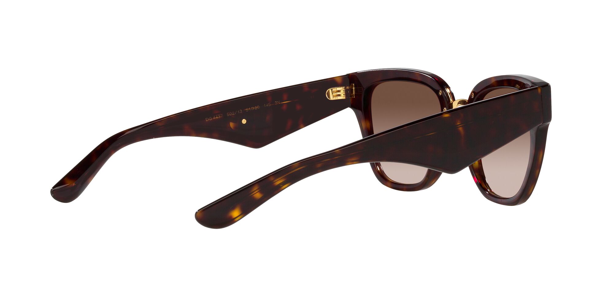 DOLCE & GABBANA DG4437 502/13 51
