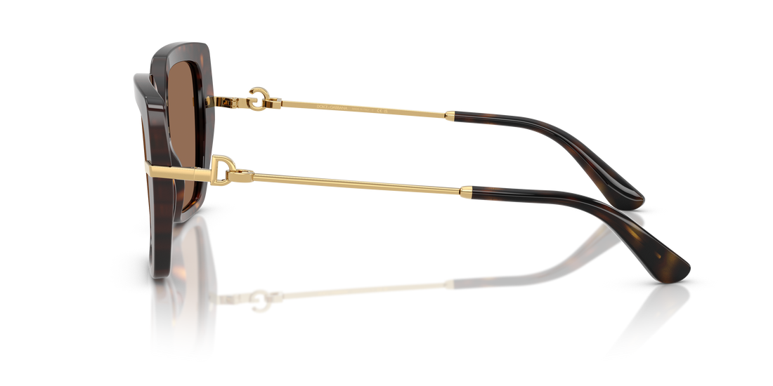 DOLCE & GABBANA DG4474 502/73 53