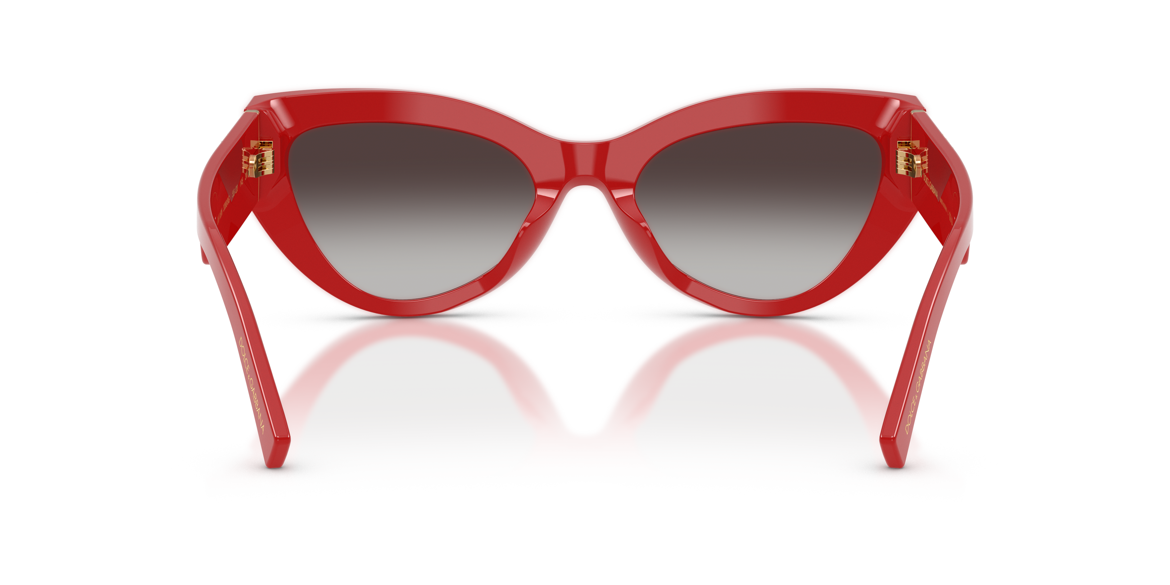 DOLCE & GABBANA DG4536 30888G 55