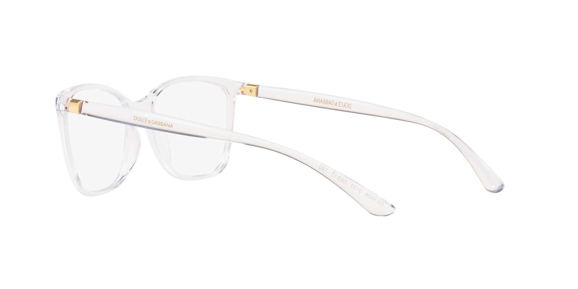 DOLCE & GABBANA DG5026 3133 54