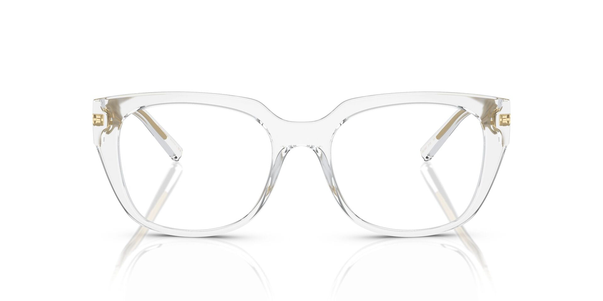 DOLCE & GABBANA DG5087 3133 53