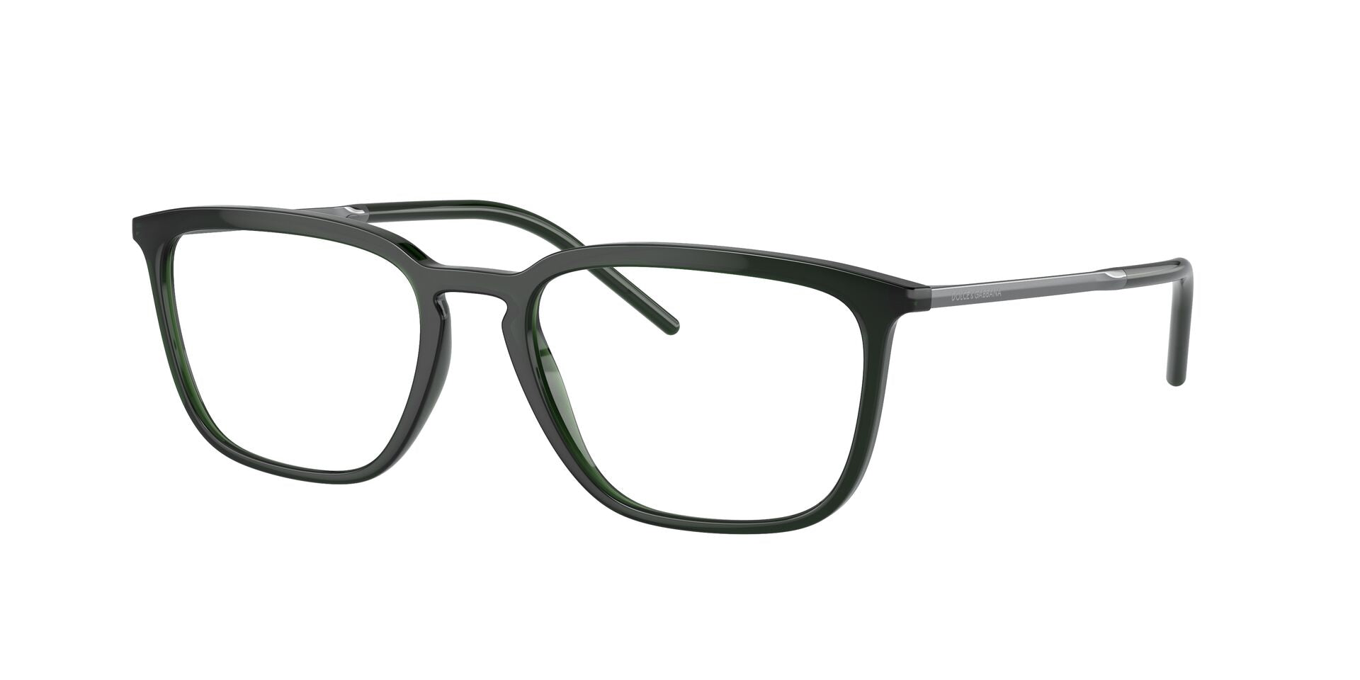 DOLCE & GABBANA DG5098 3008 54