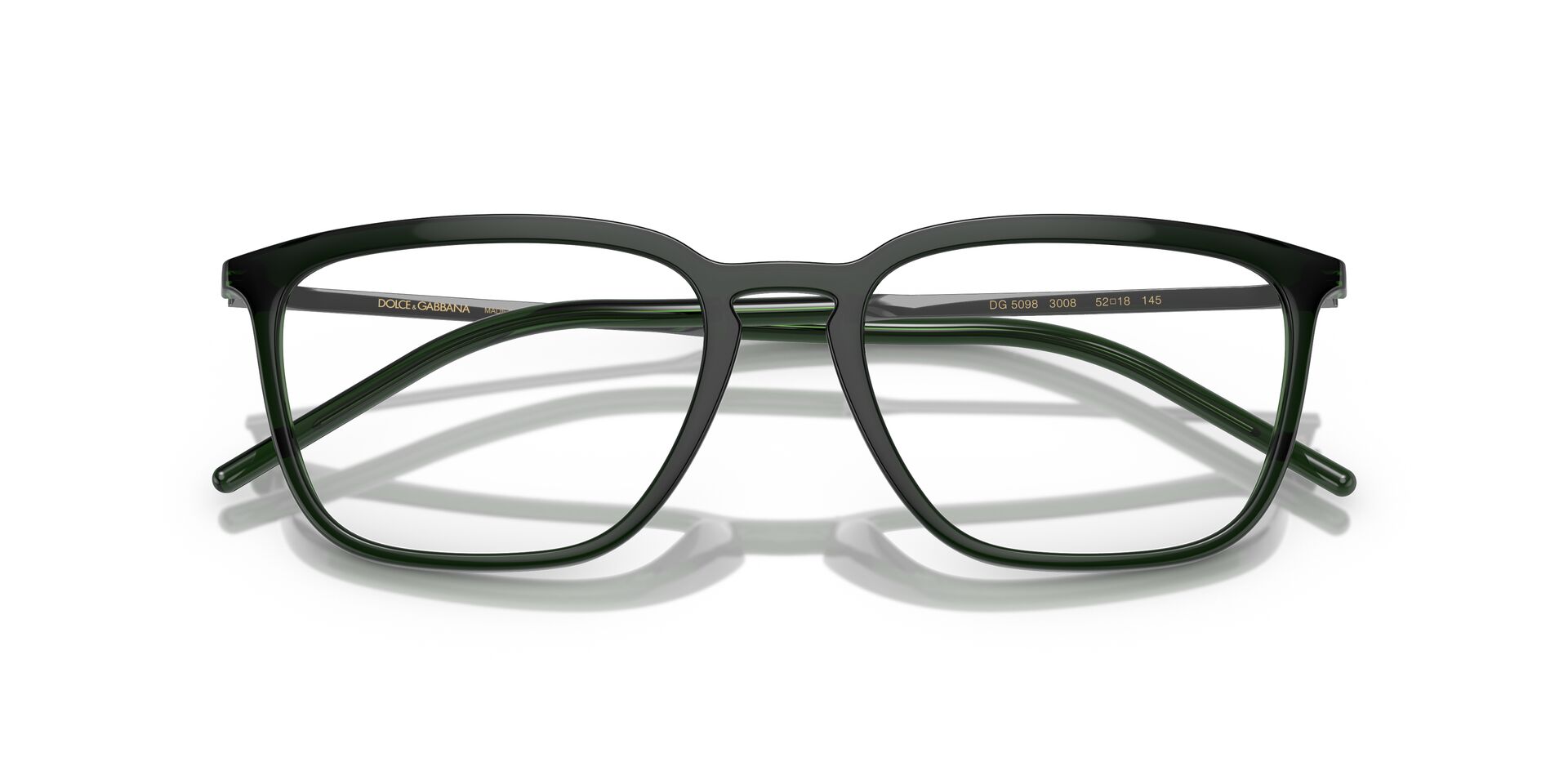 DOLCE & GABBANA DG5098 3008 54