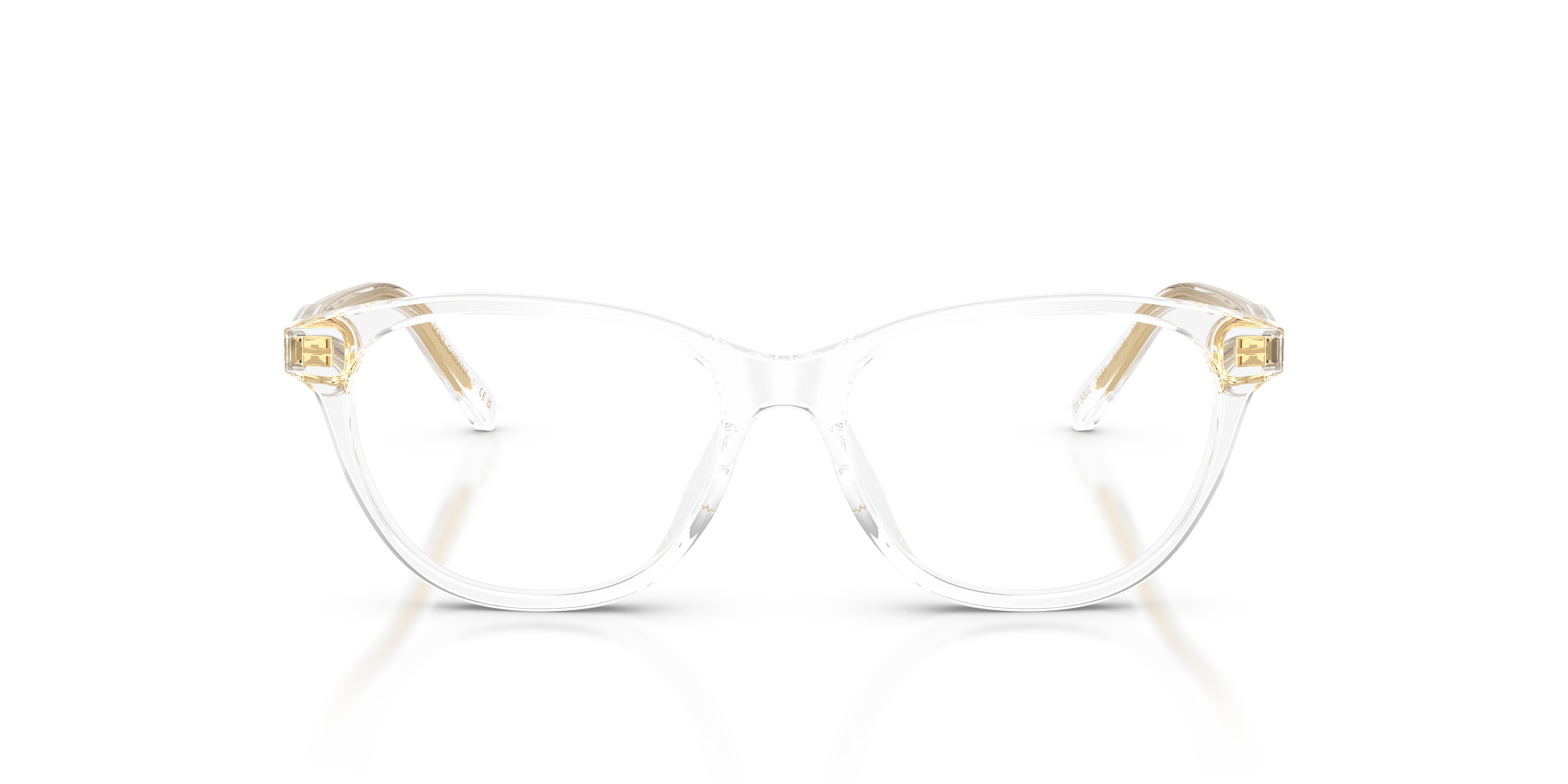 DOLCE & GABBANA DX3002 3133 50