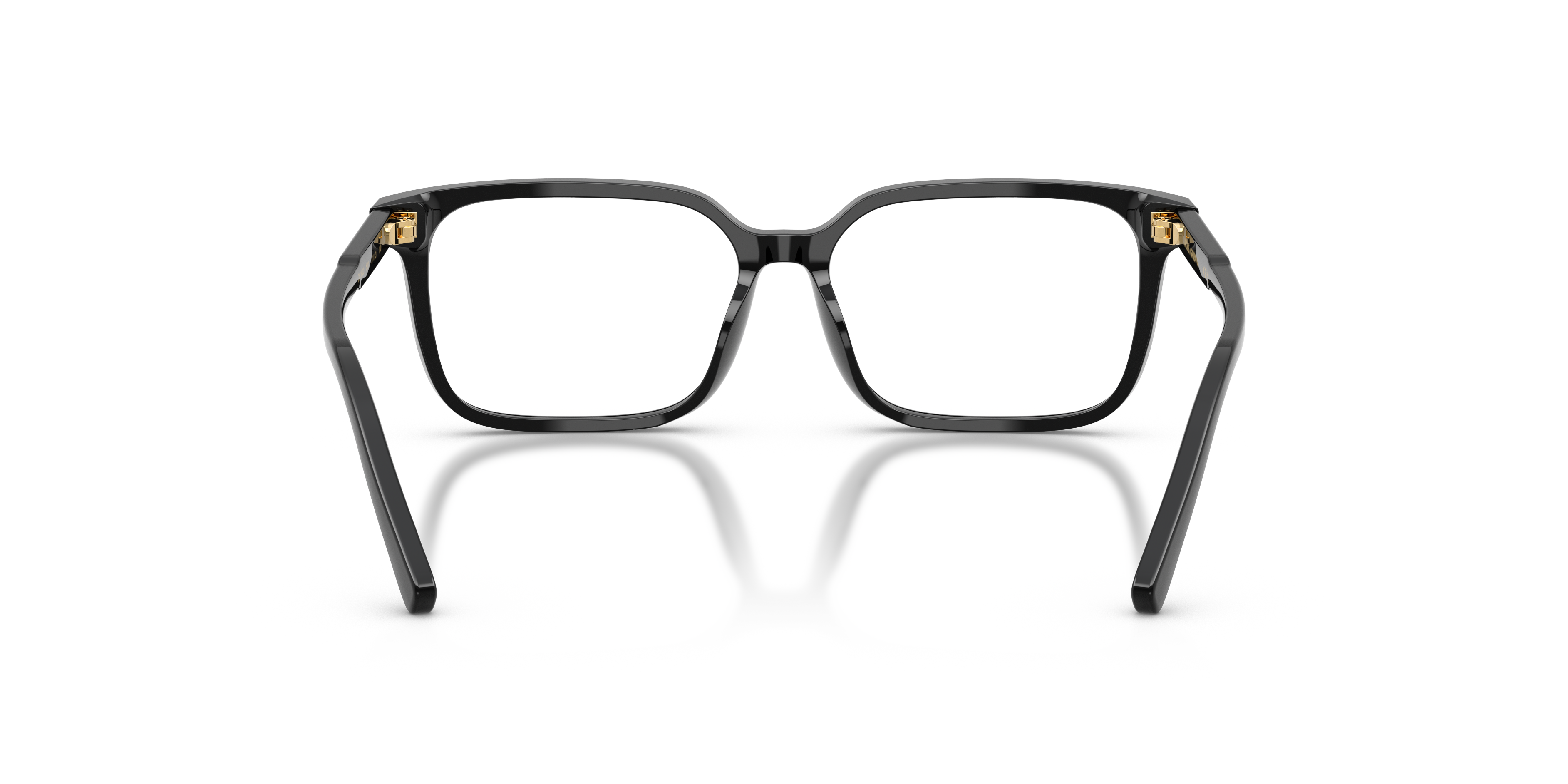 DOLCE & GABBANA DX3003 501 51