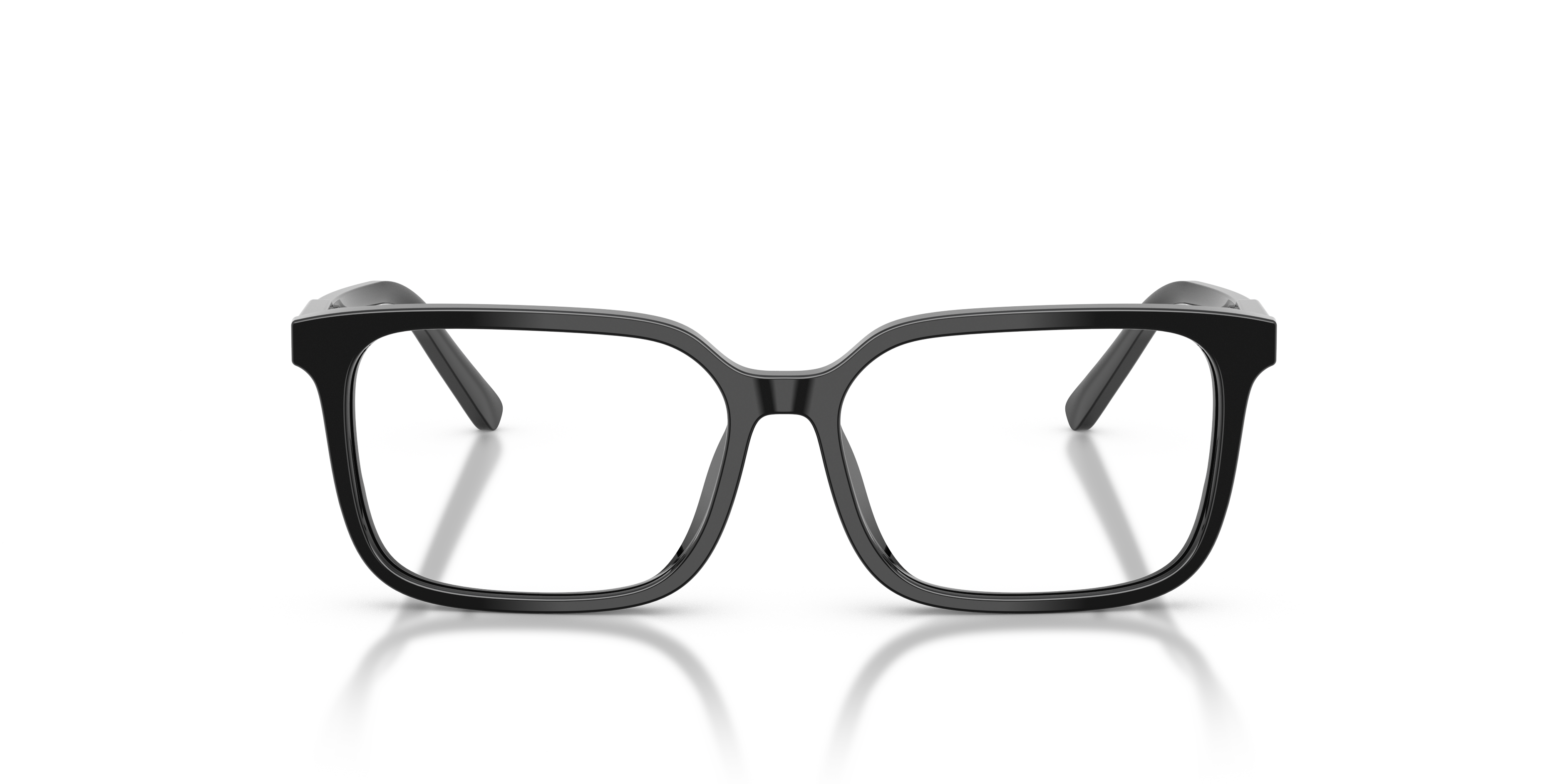 DOLCE & GABBANA DX3003 501 51