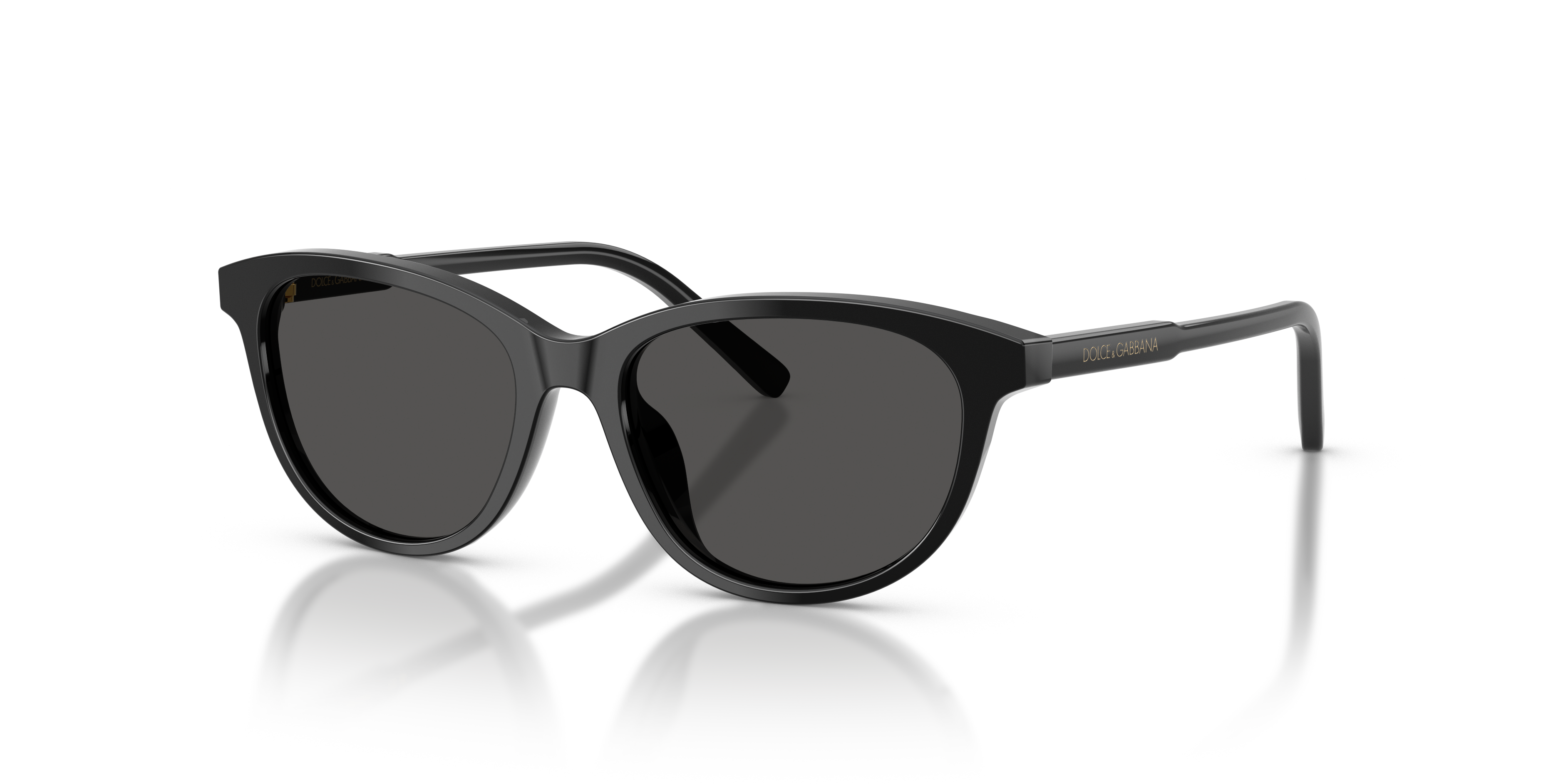 DOLCE & GABBANA DX4010 501/87 48