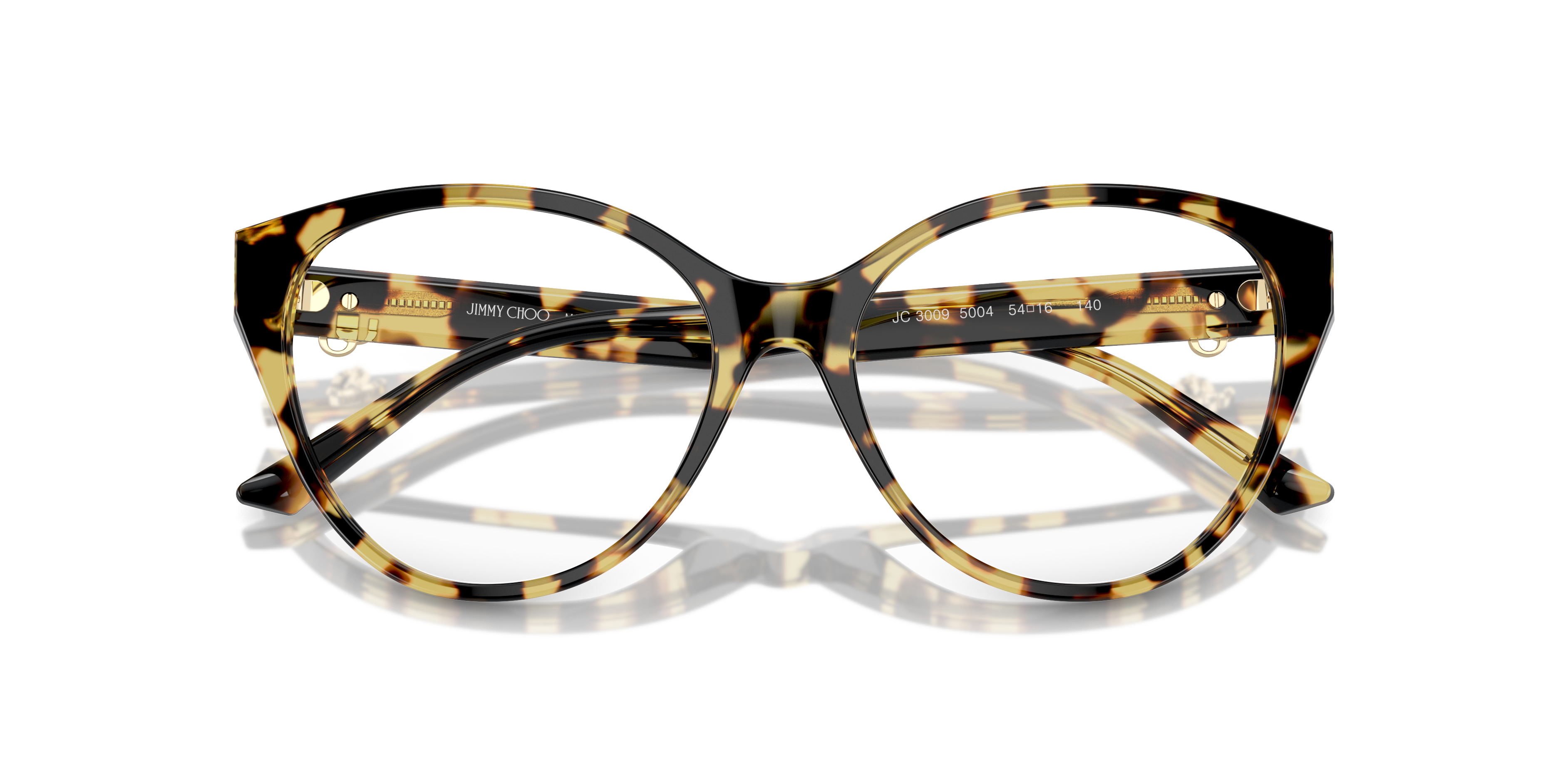 JIMMY CHOO JC3009 5004 54