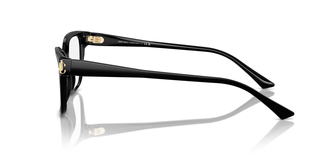 JIMMY CHOO JC3012 5000 55