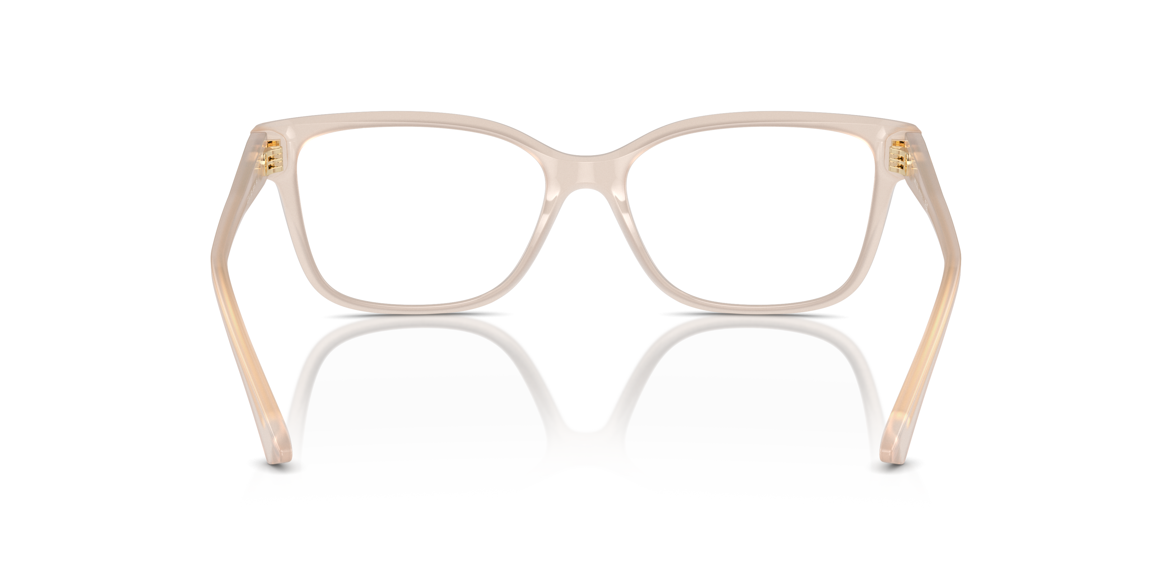 JIMMY CHOO JC3012 5025 55