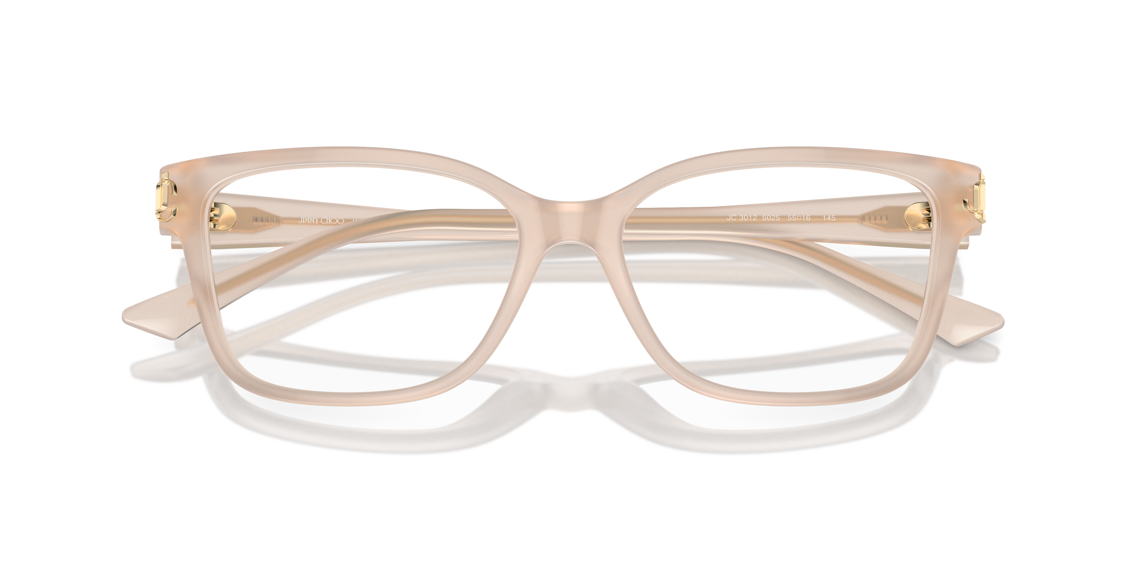 JIMMY CHOO JC3012 5025 55