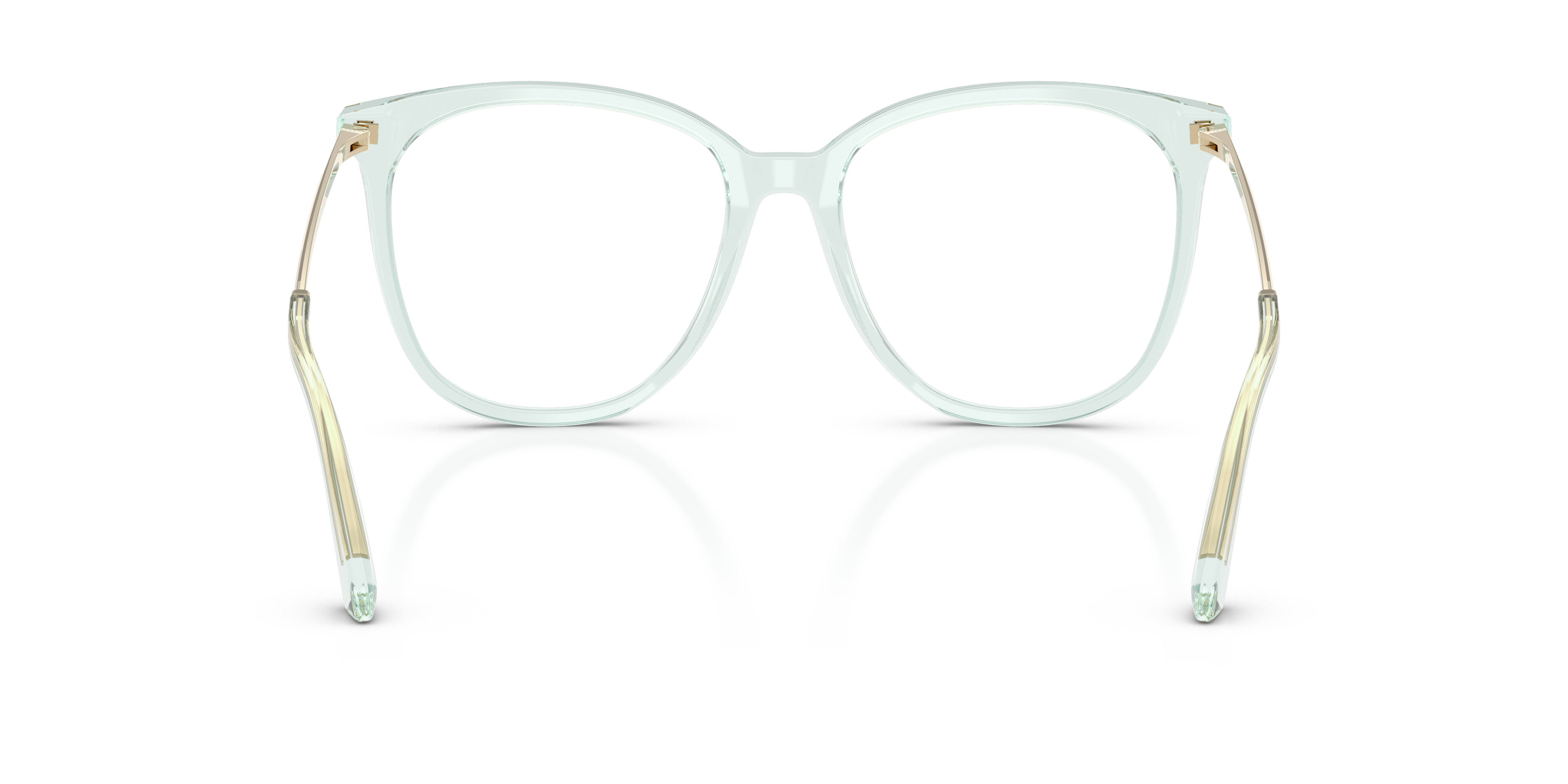 JIMMY CHOO JC3060 5108 55