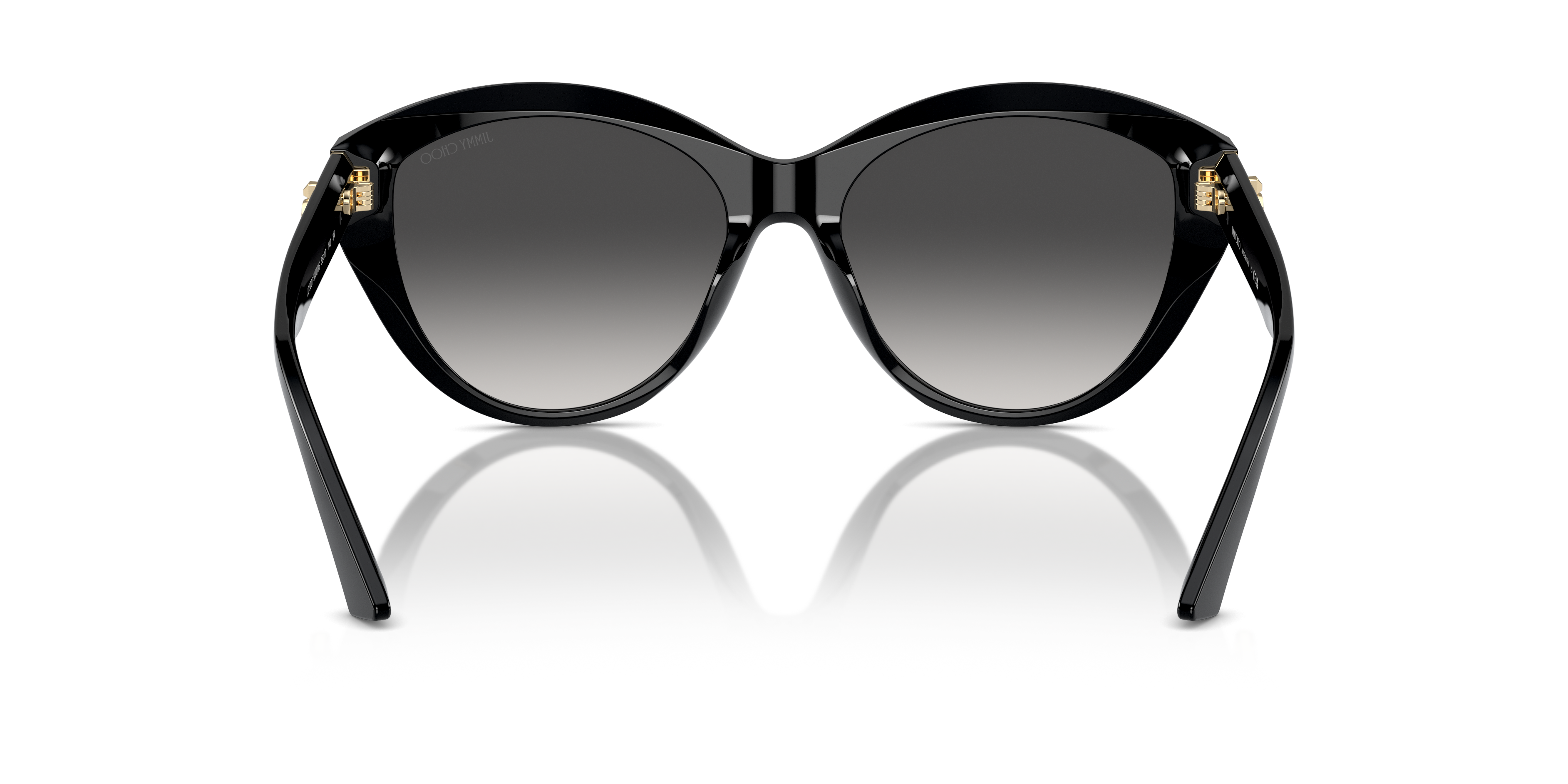 JIMMY CHOO JC5007 50008G 55