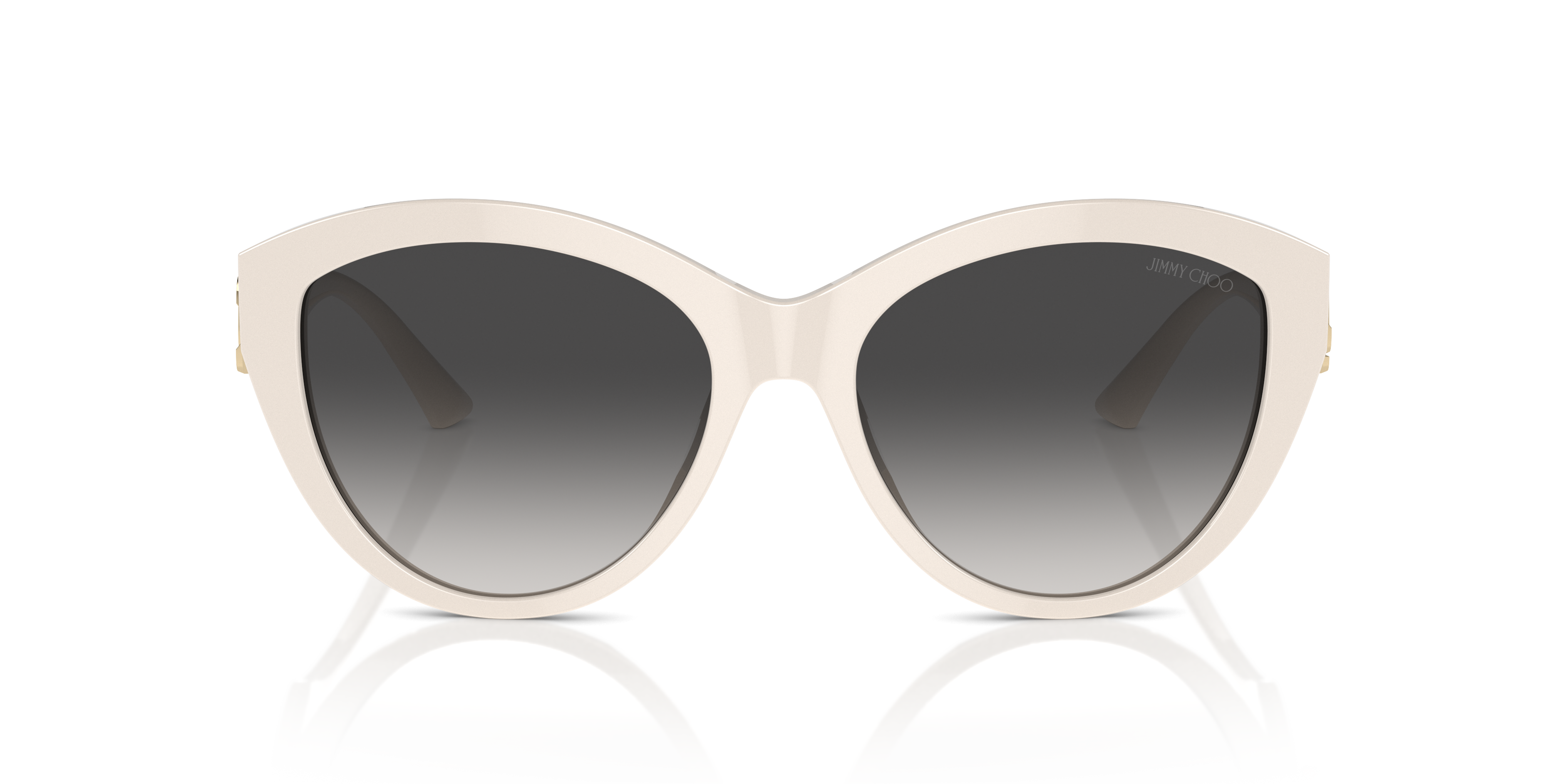 JIMMY CHOO JC5007 50088G 55