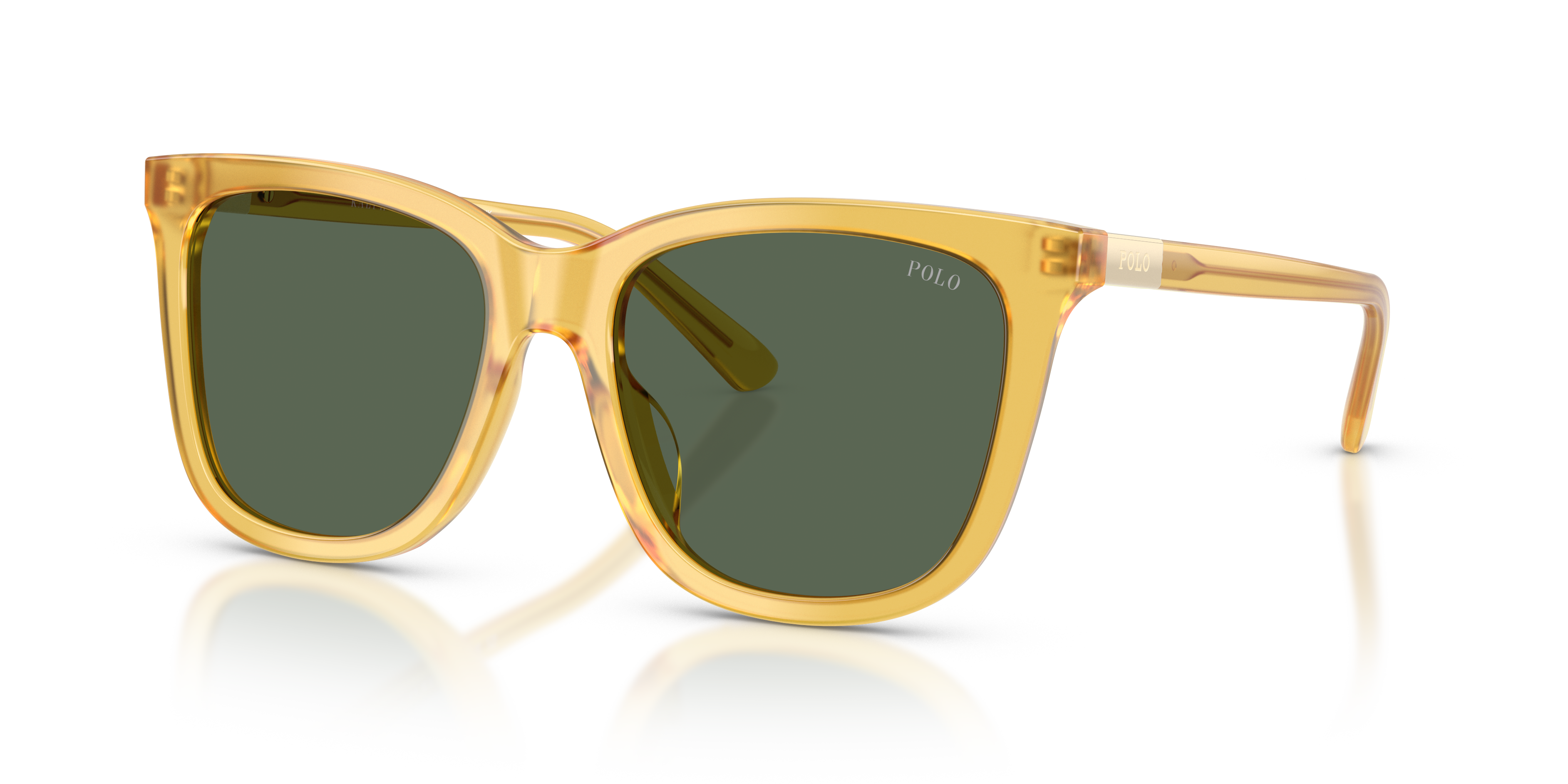 POLO PH4201U 500571 55