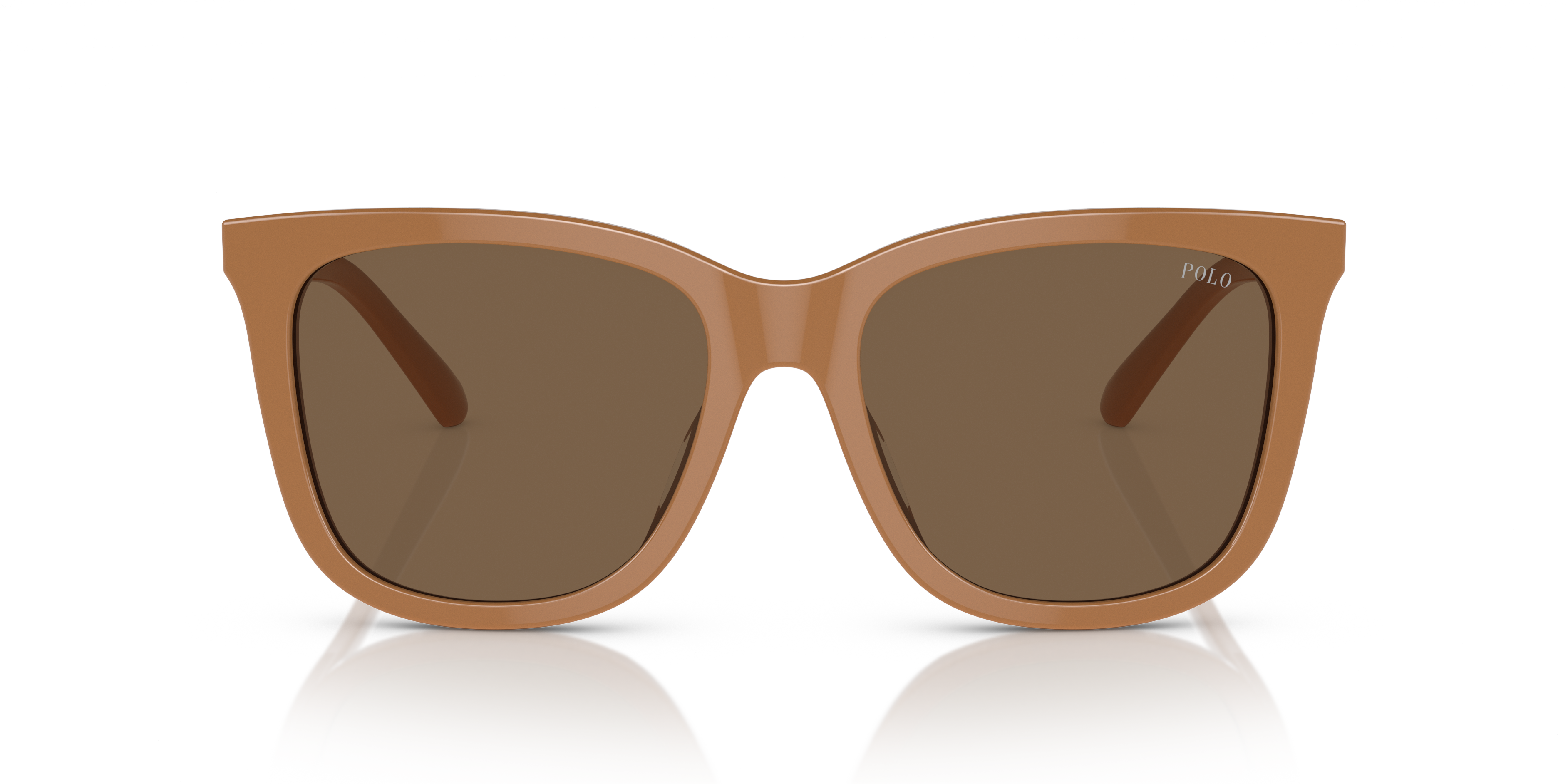 POLO PH4201U 619673 55