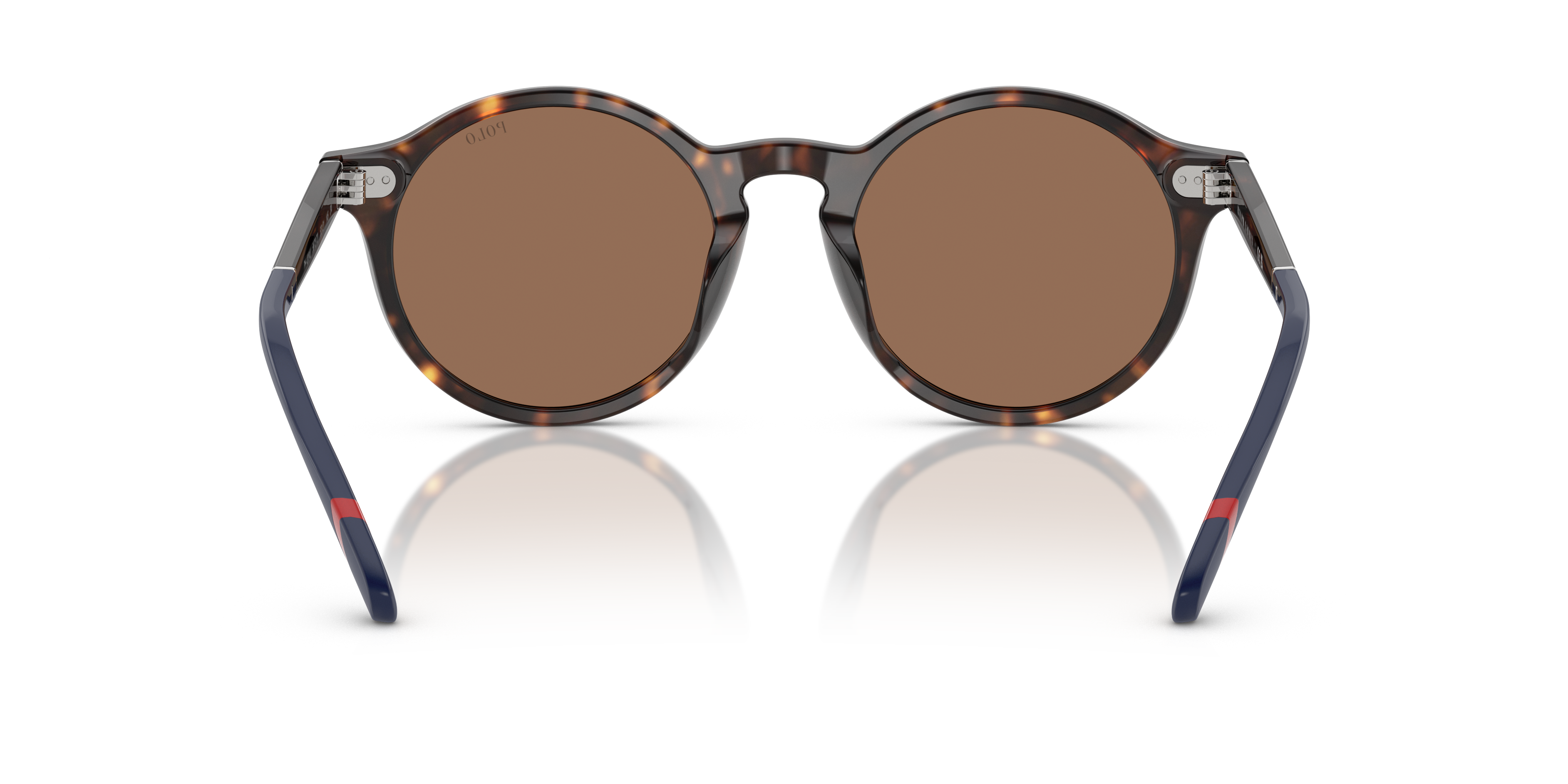 POLO PH4204U 567373 50