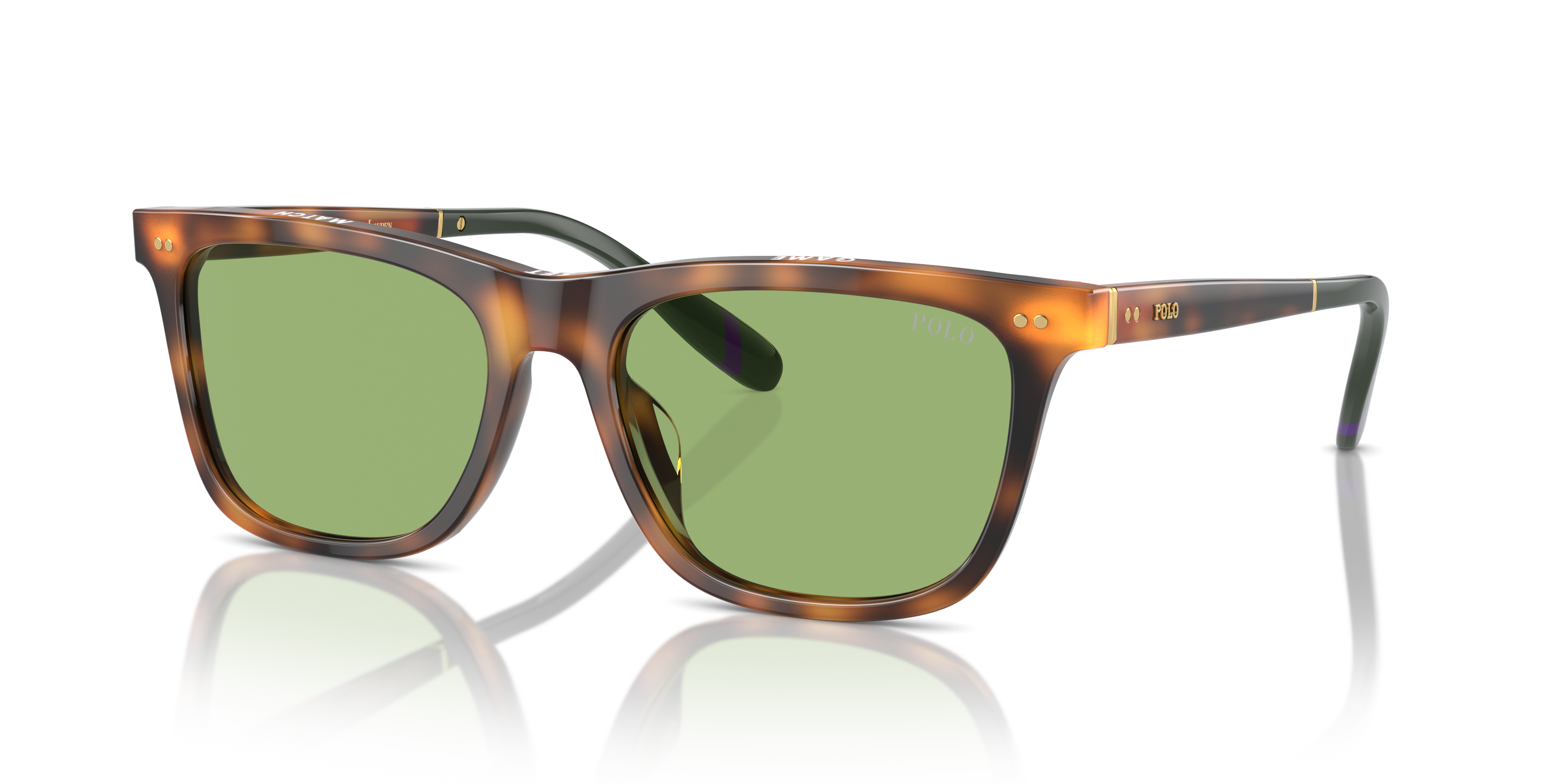 POLO PH4205U 6089/2 56