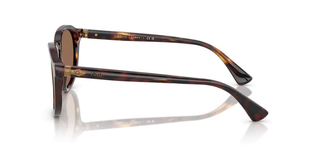 Occhiali da sole polo ph4221 613773 carey pantos masculina taglia 52mm - Vista dettagliata