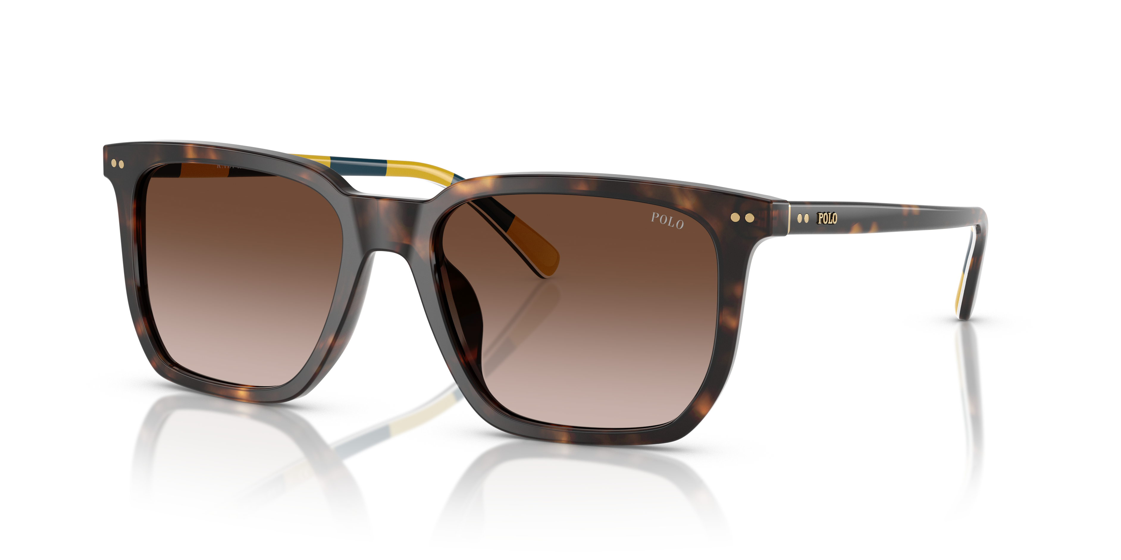 POLO PH4224U 500313 55