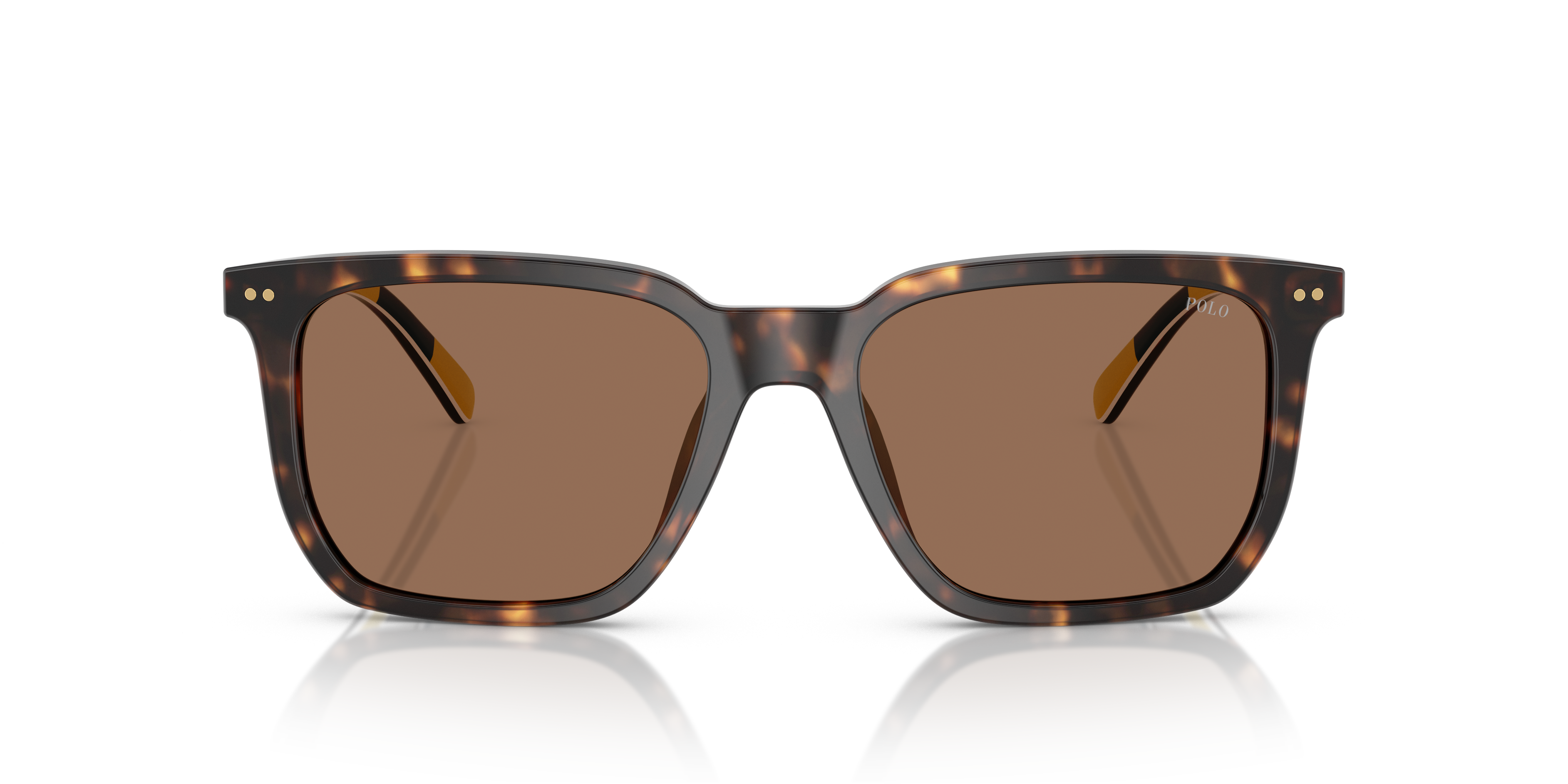 POLO PH4224U 500373 55