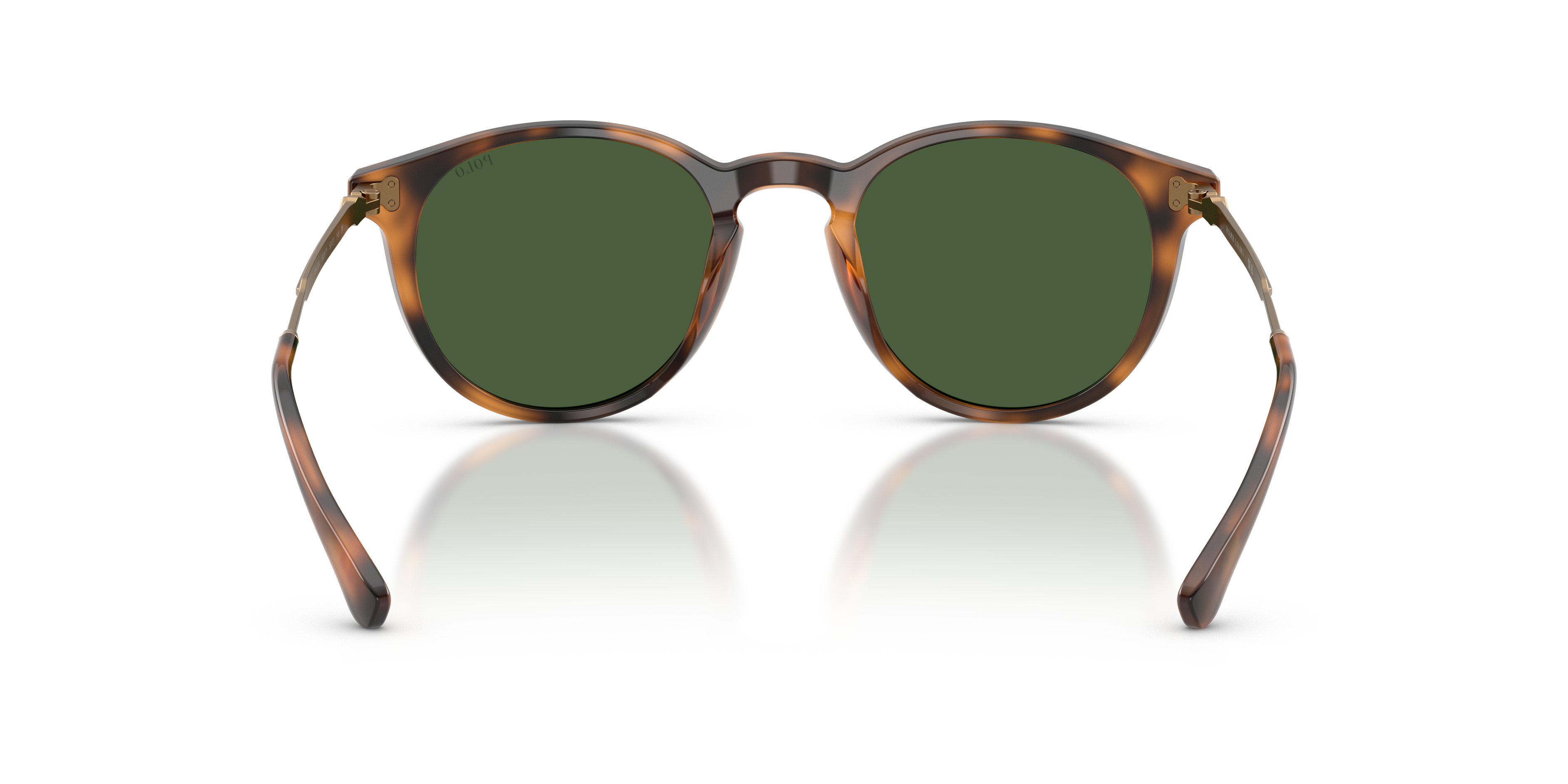 POLO PH4239U 500371 50