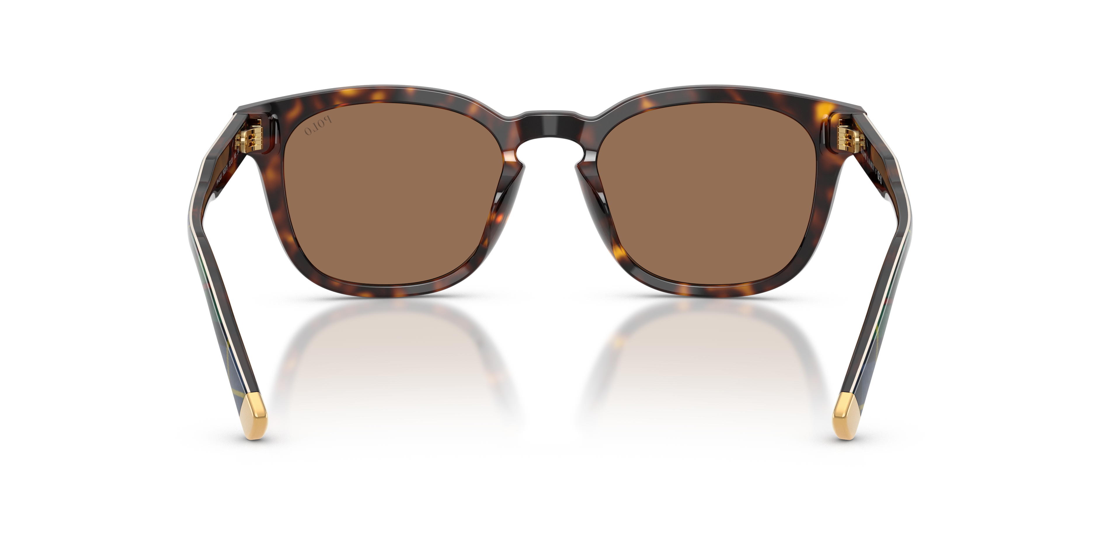 POLO PH4242U 562573 52