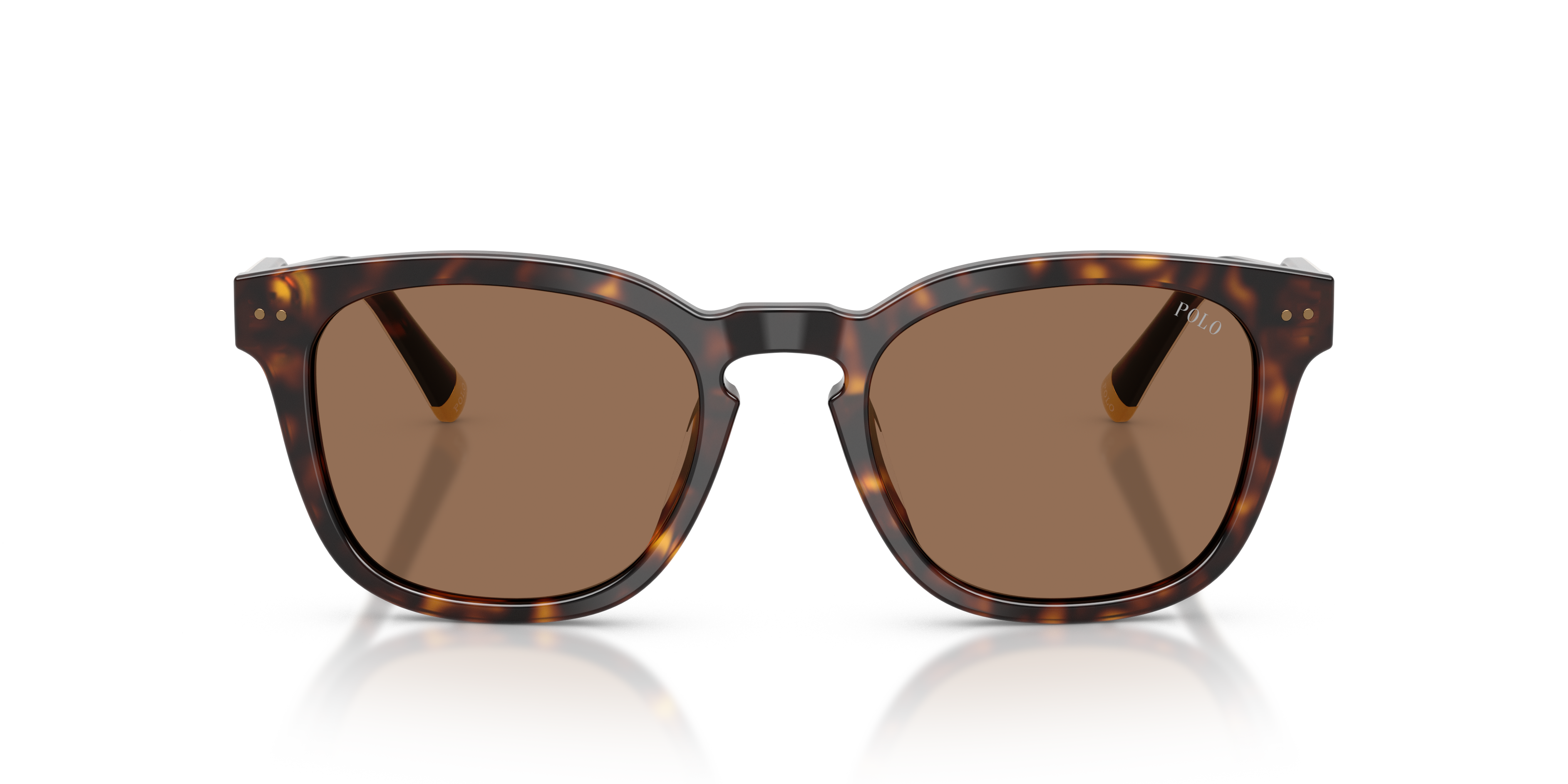 POLO PH4242U 562573 52